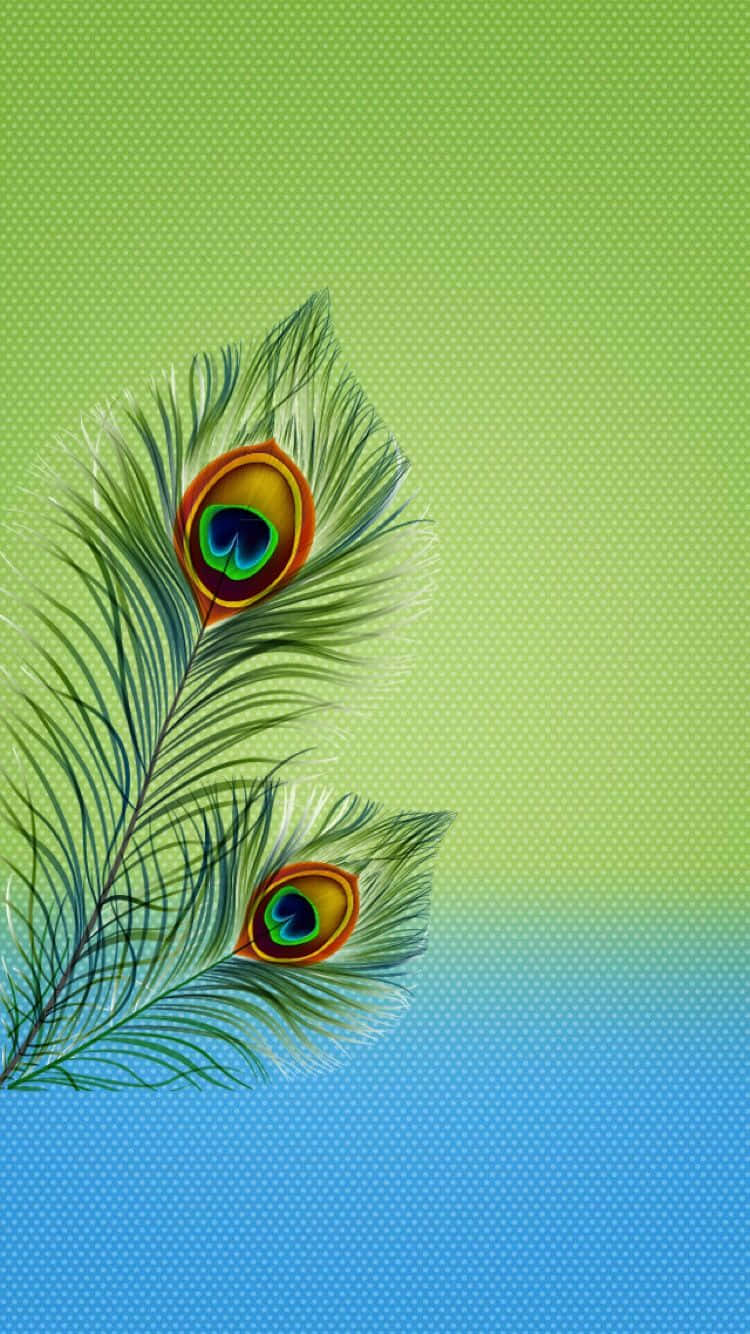 Gracious Feather Background