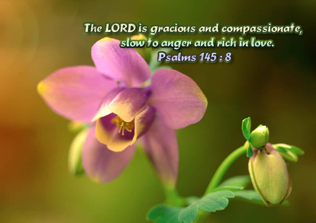 Gracious Lord Background