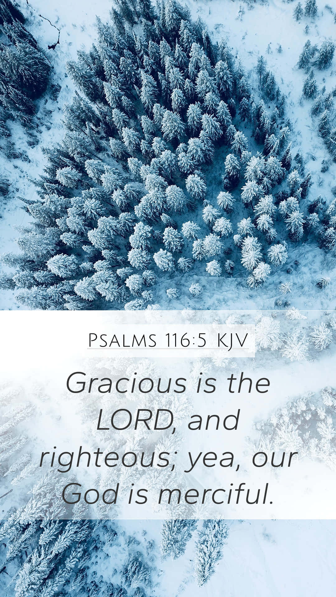 Gracious Lord Background