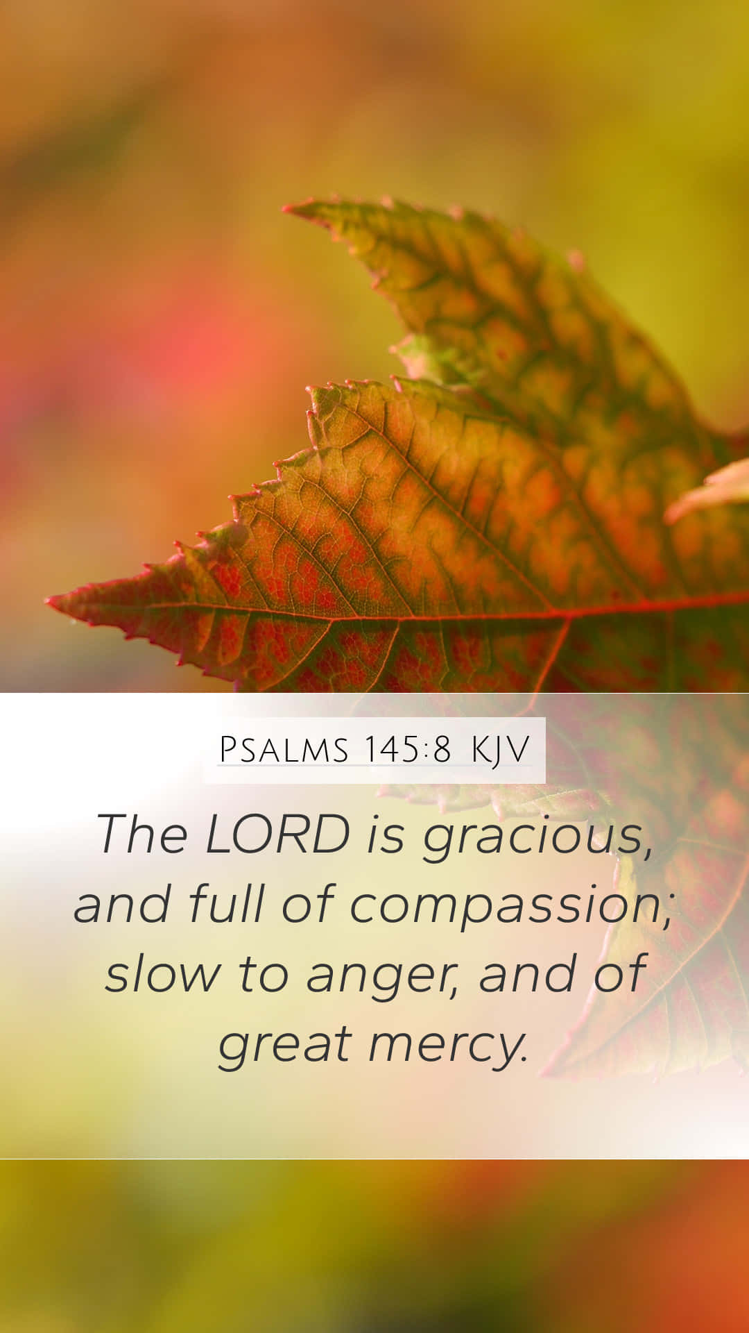 Gracious Proverbs Background