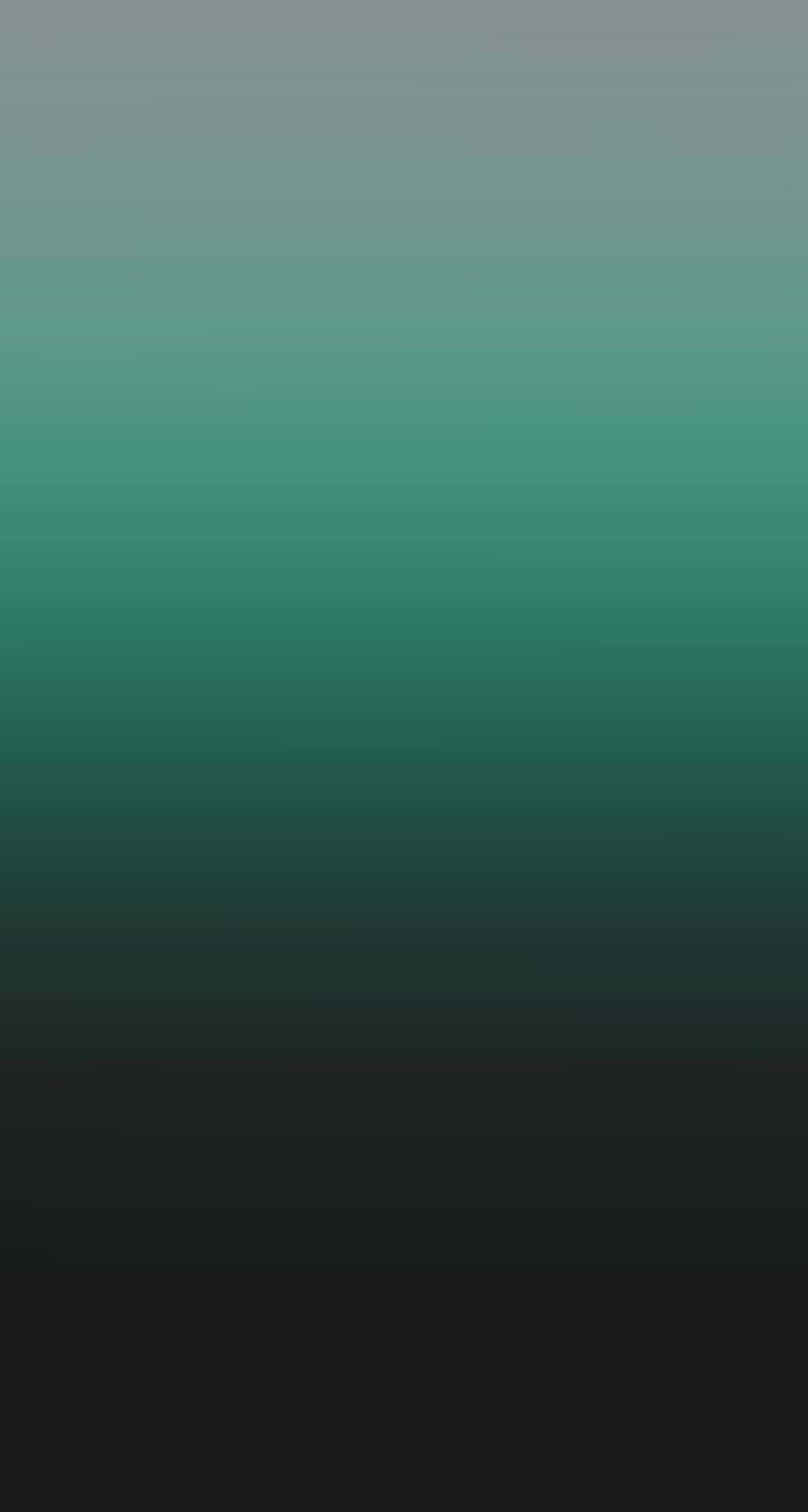 Gradient Black And Dark Green Iphone Background