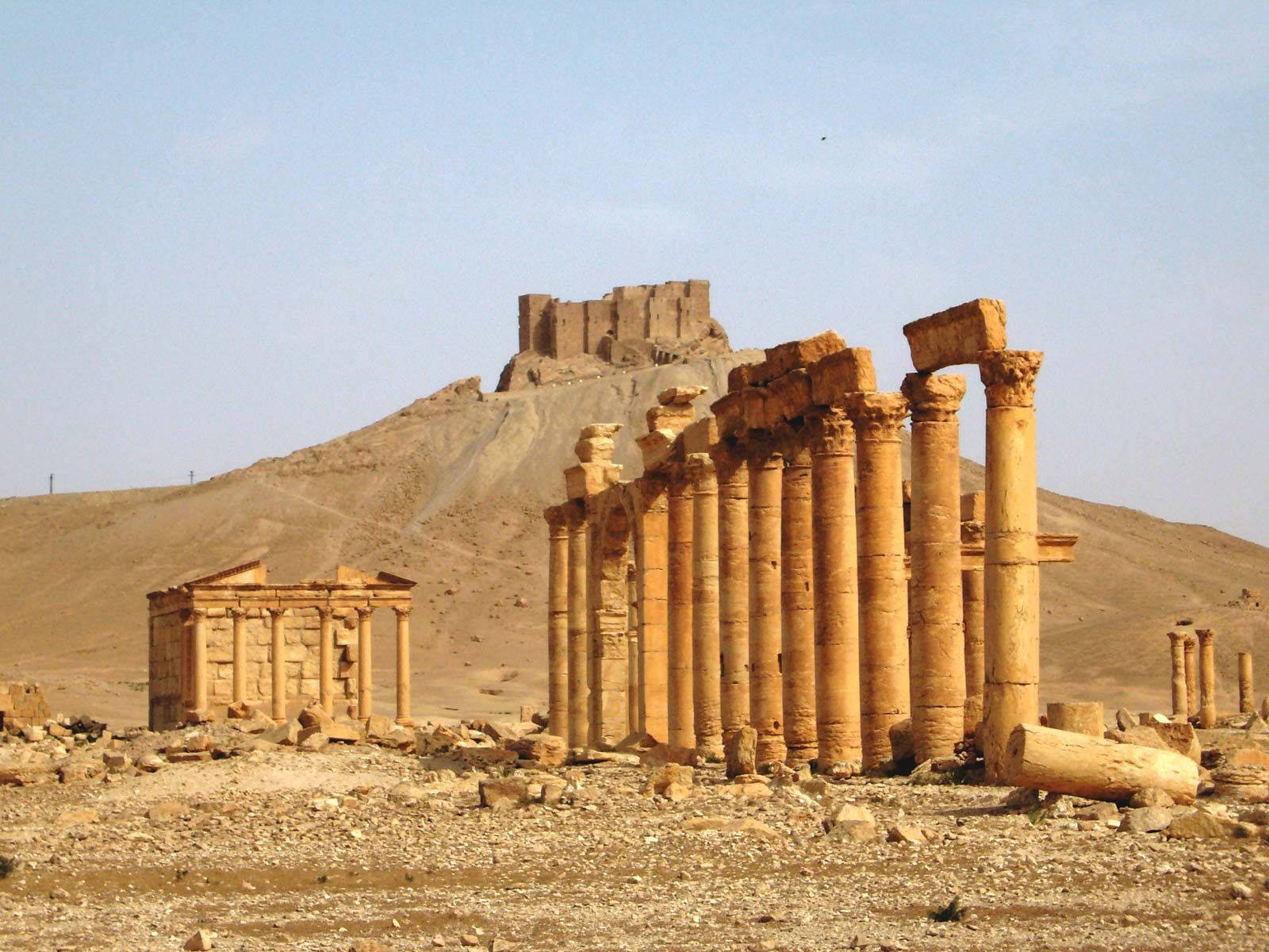 Graeco-roman Colonnaded Street In Palmyra Background