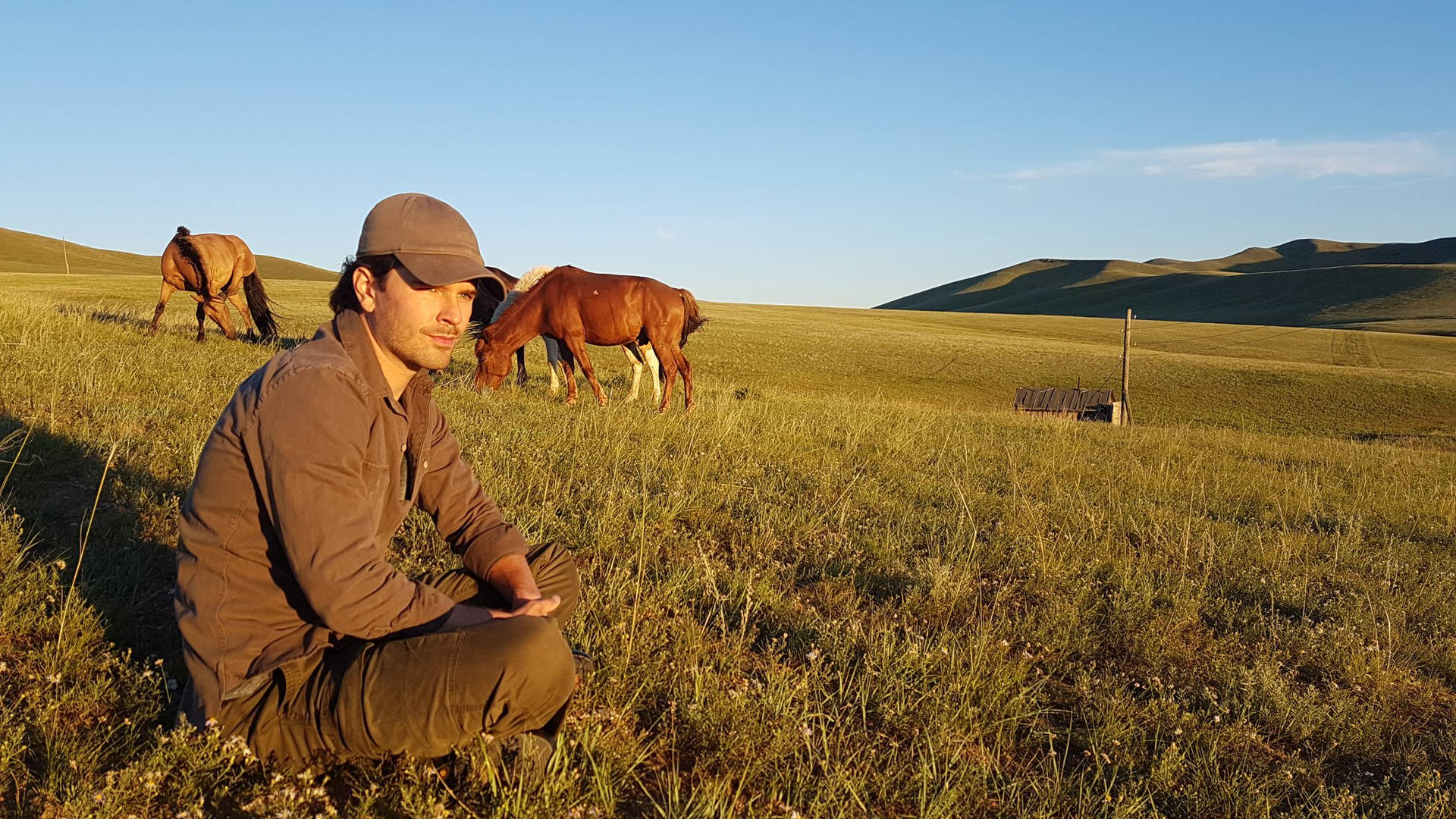 Graham Wardle In Horse Field Background