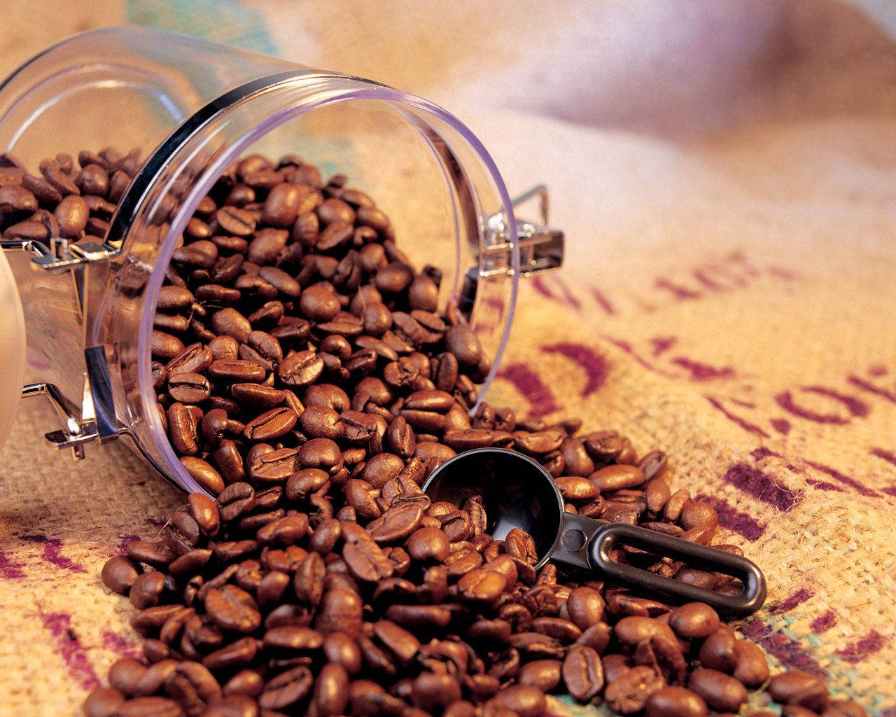 Grains Of Freshly Roasted Coffee