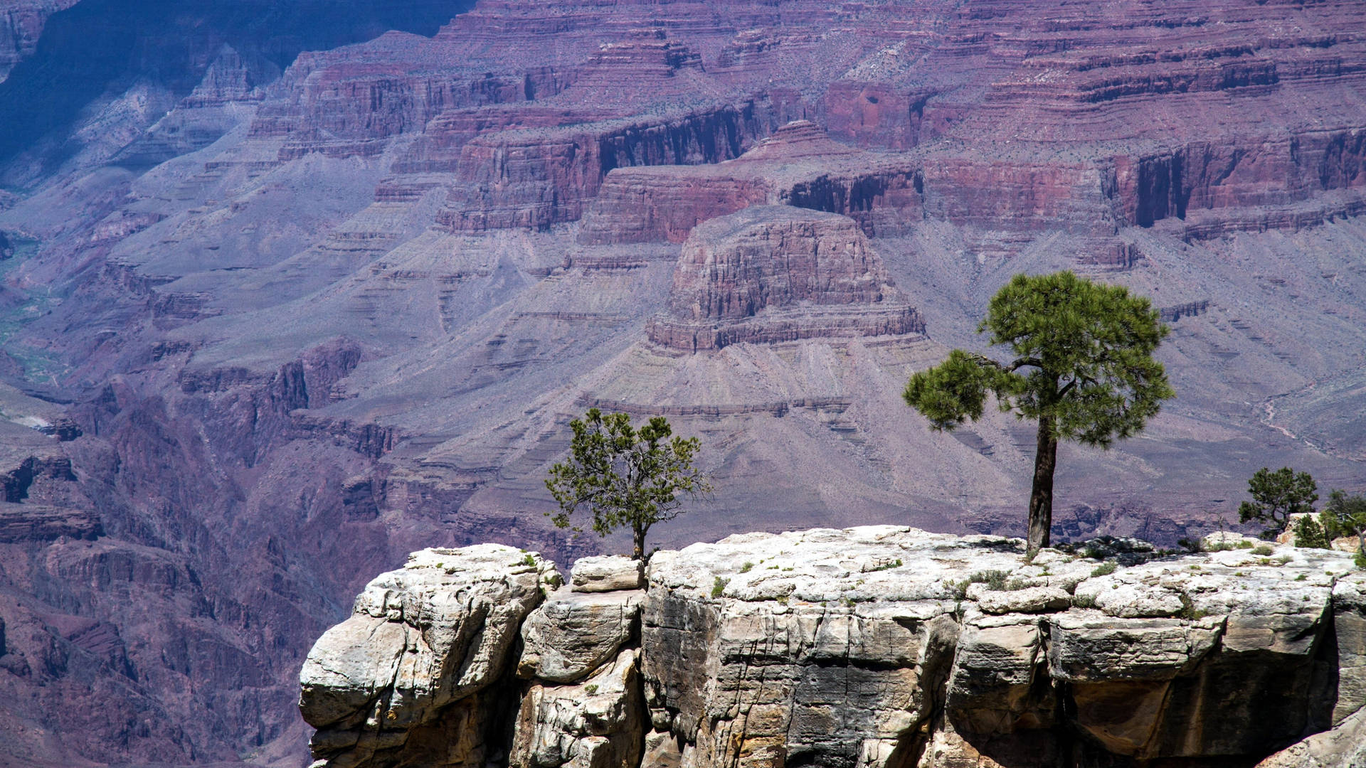 Grand Canyon Plateau Background