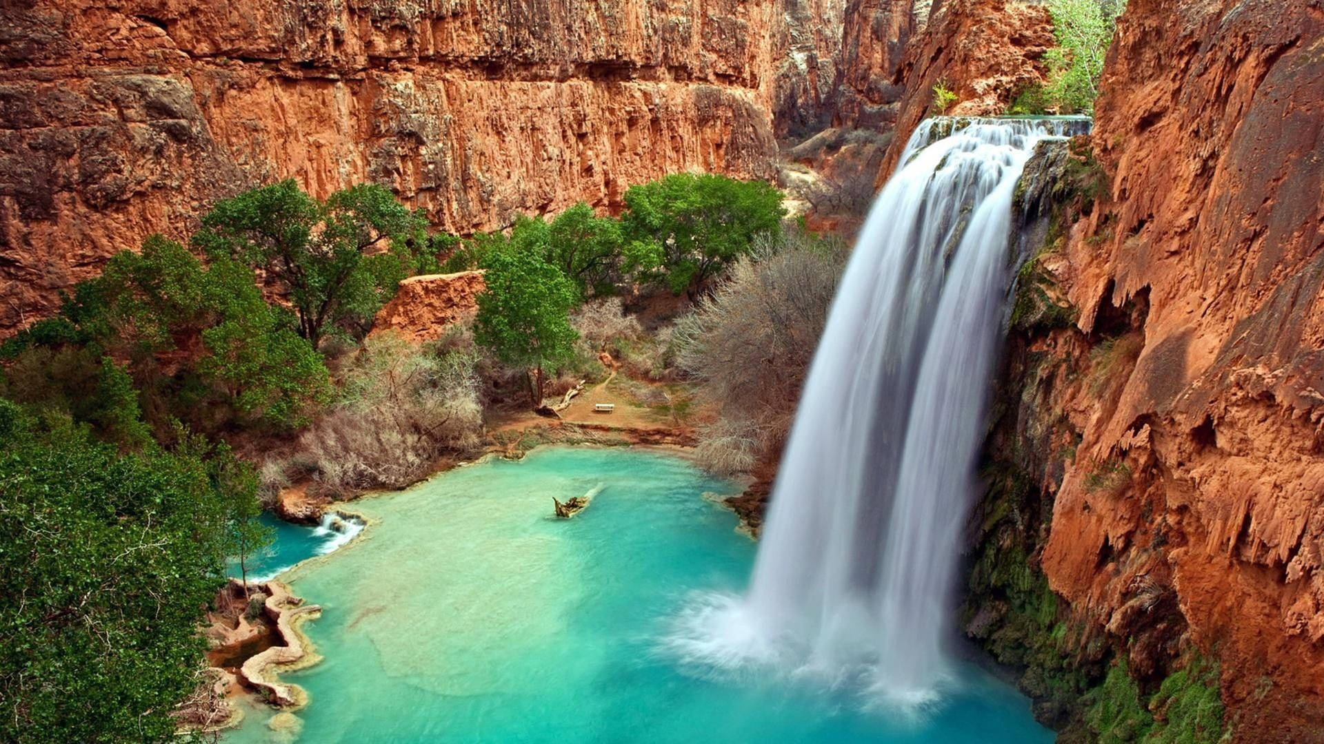 Grand Canyon's Havasu Falls Hd Waterfall