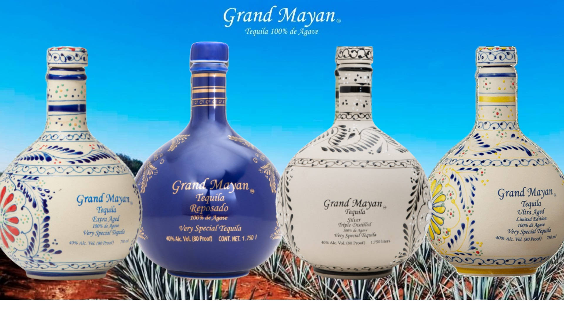 Grand Mayan Tequila Bottles Edited Photo