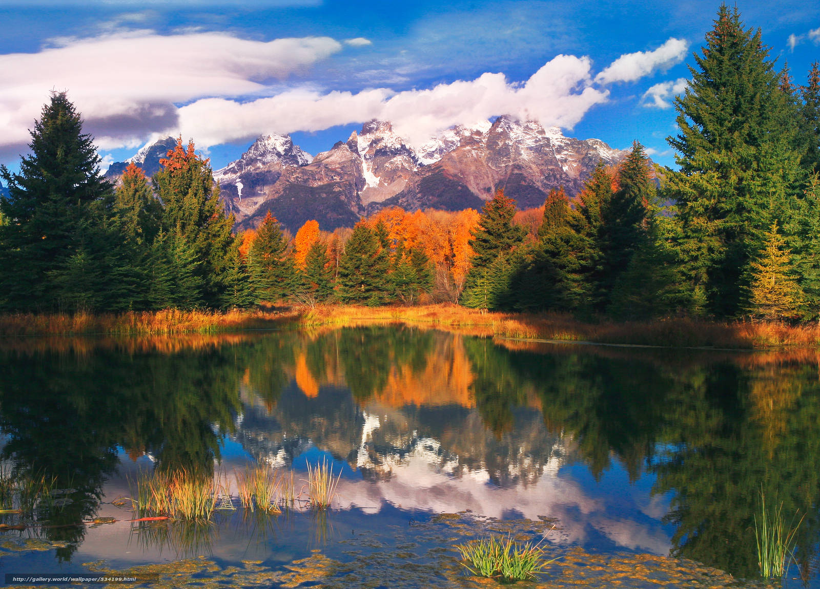 Grand Teton National Park Autumn Day Background