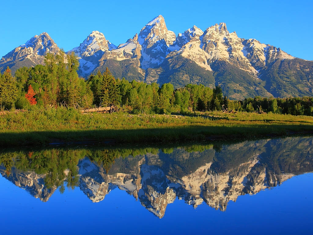 Grand Teton National Park Clear Day Background