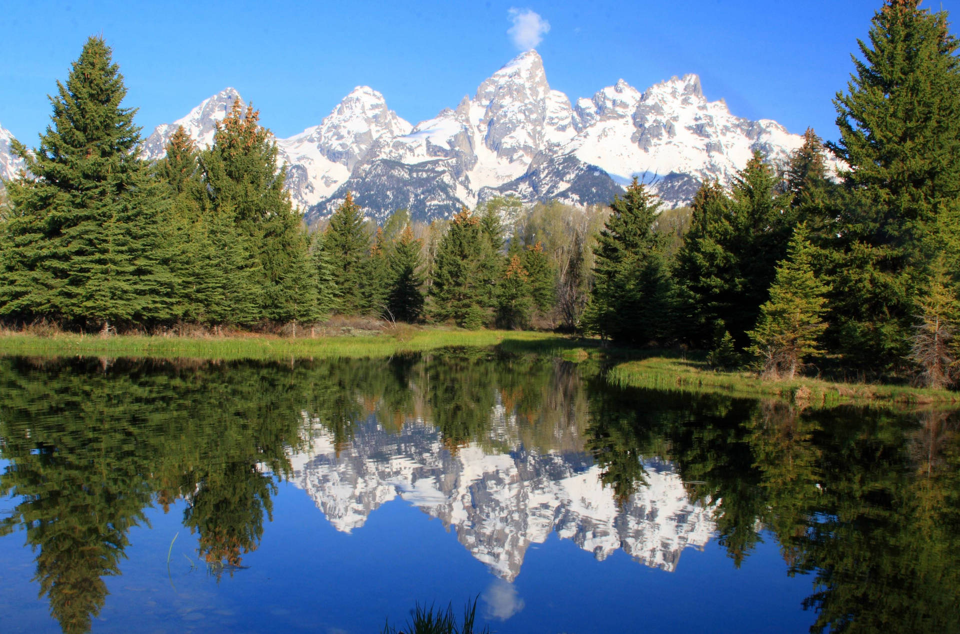 Grand Teton National Park Clear Water Background