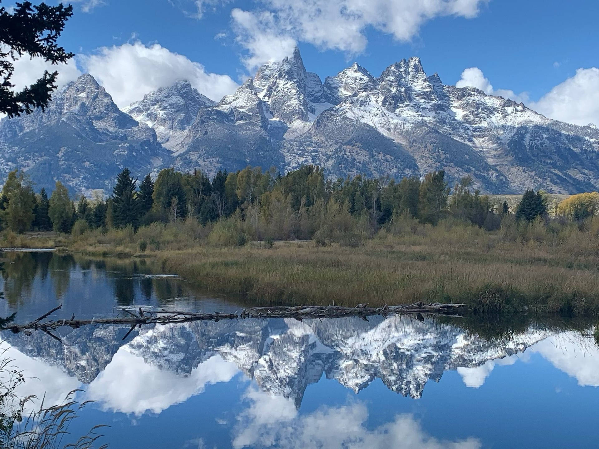 Grand Teton National Park Fine Day