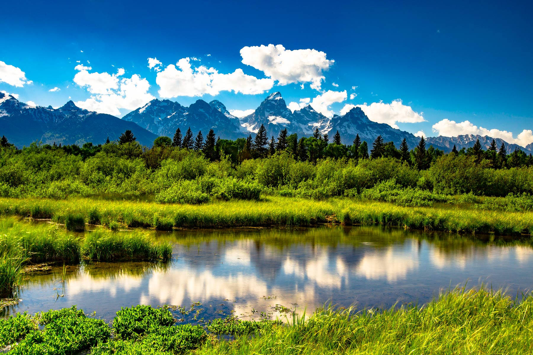 Grand Teton National Park Green Background