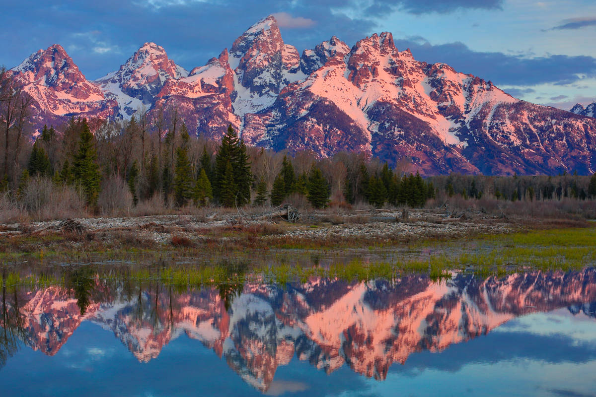 Grand Teton National Park Pink Glow