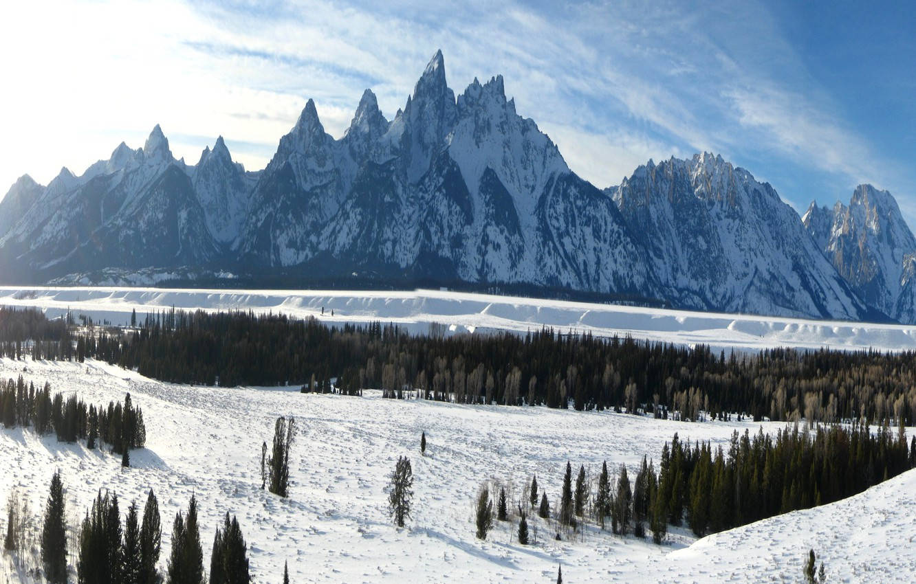 Grand Teton National Park Trees In Winter Background