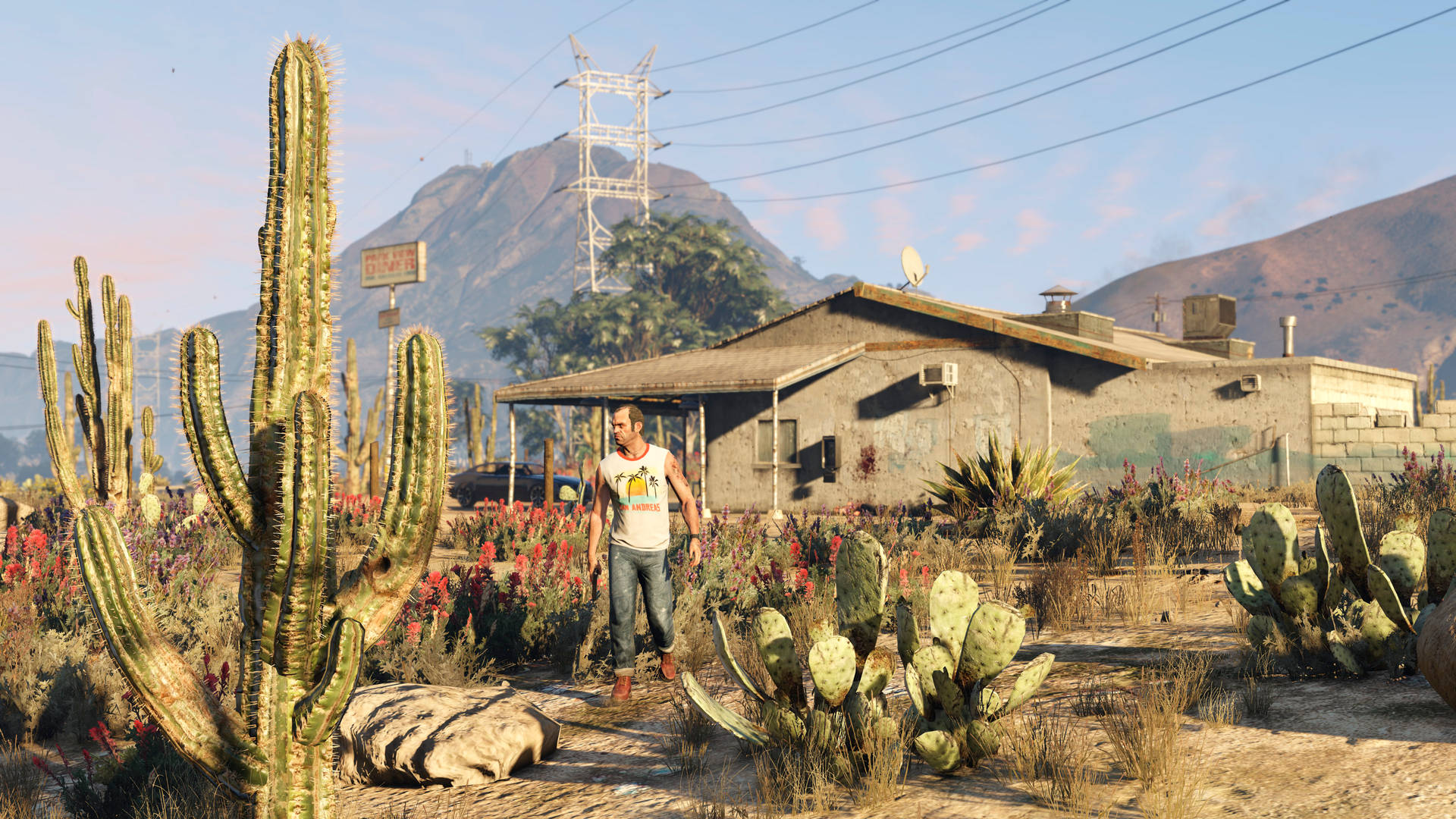 Grand Theft Auto V Trevor Desert Plants Background