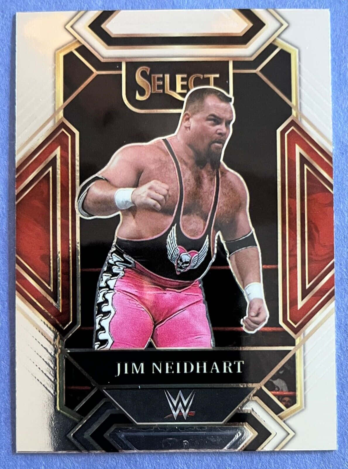 Graphic Design Jim Neidhart Background