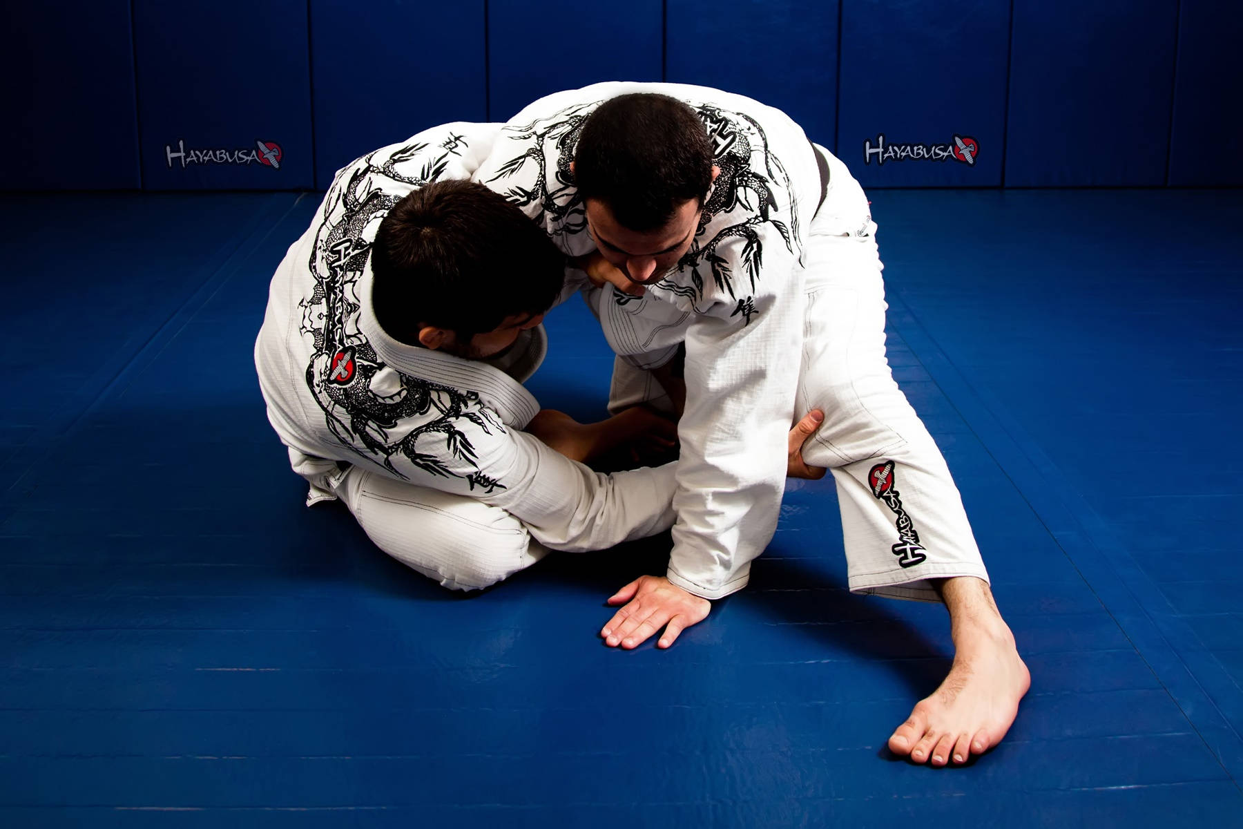 Grappling Fight Brazilian Jiu-jitsu