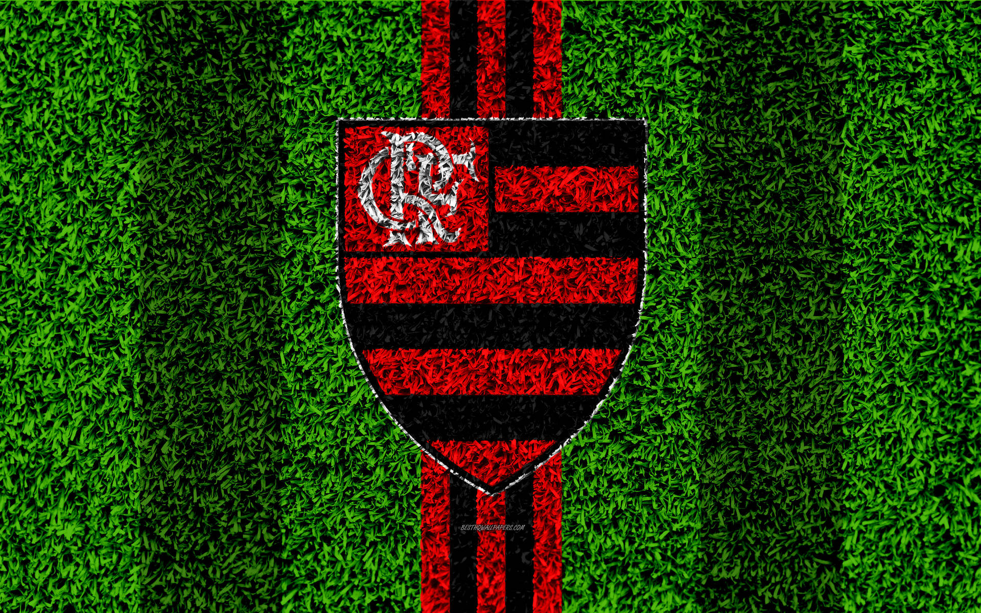 Grass Field Flamengo Fc Background