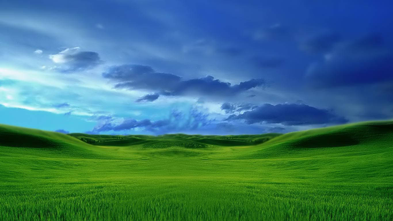 Grass Field Laptop Desktop Background