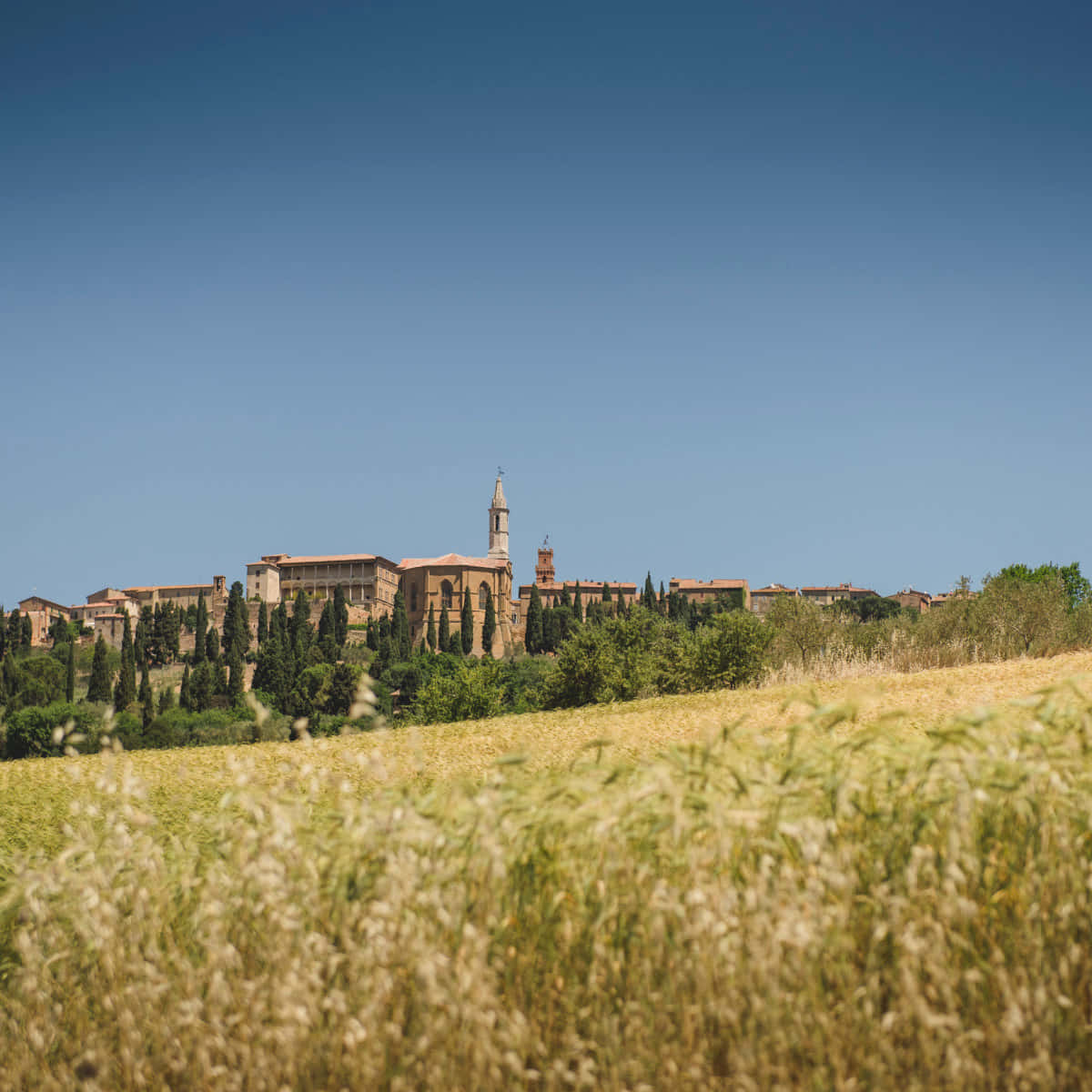 Grass Field With Pienza Town Long Shot Background