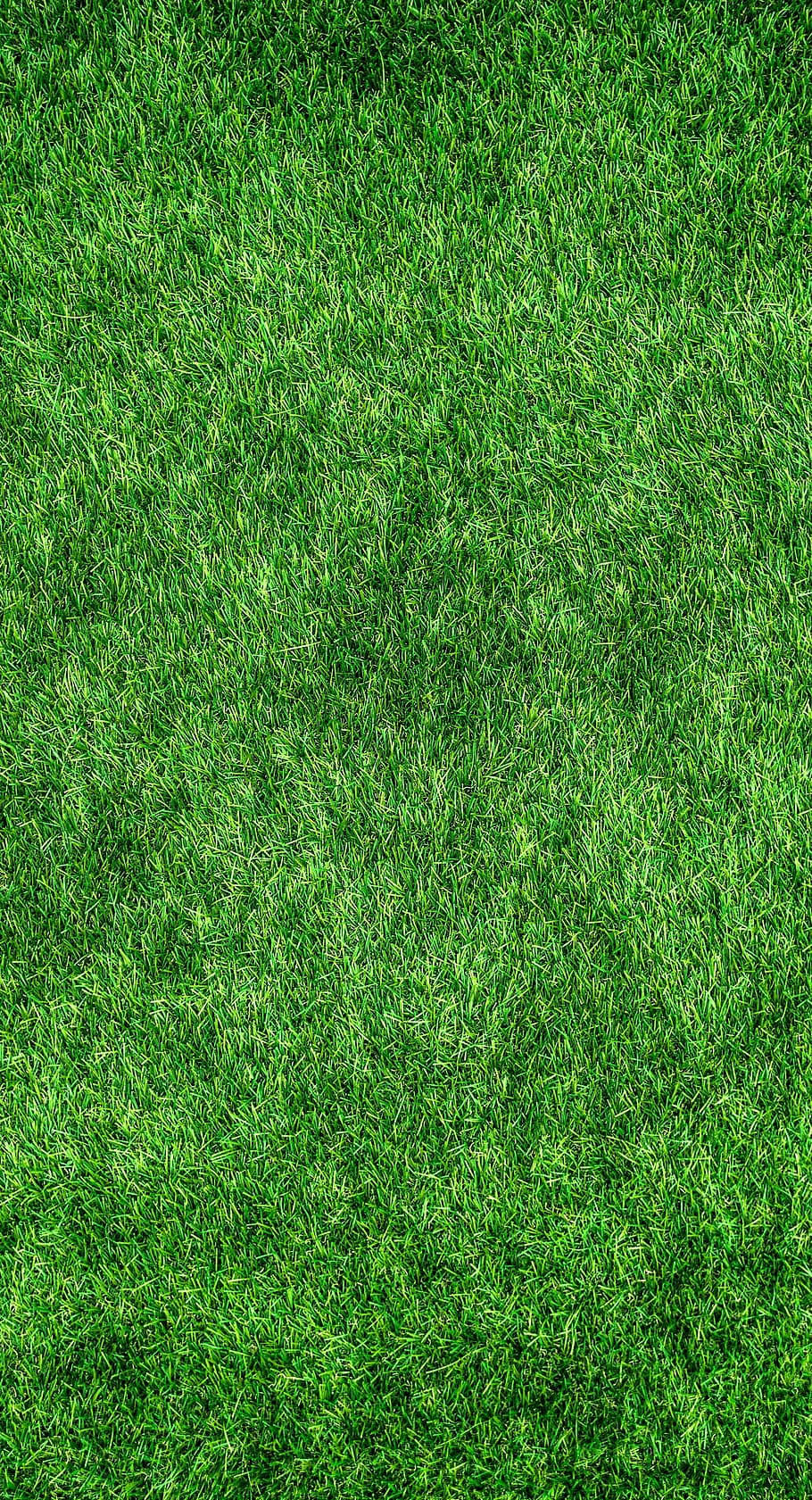 Grass Golf Phone Background