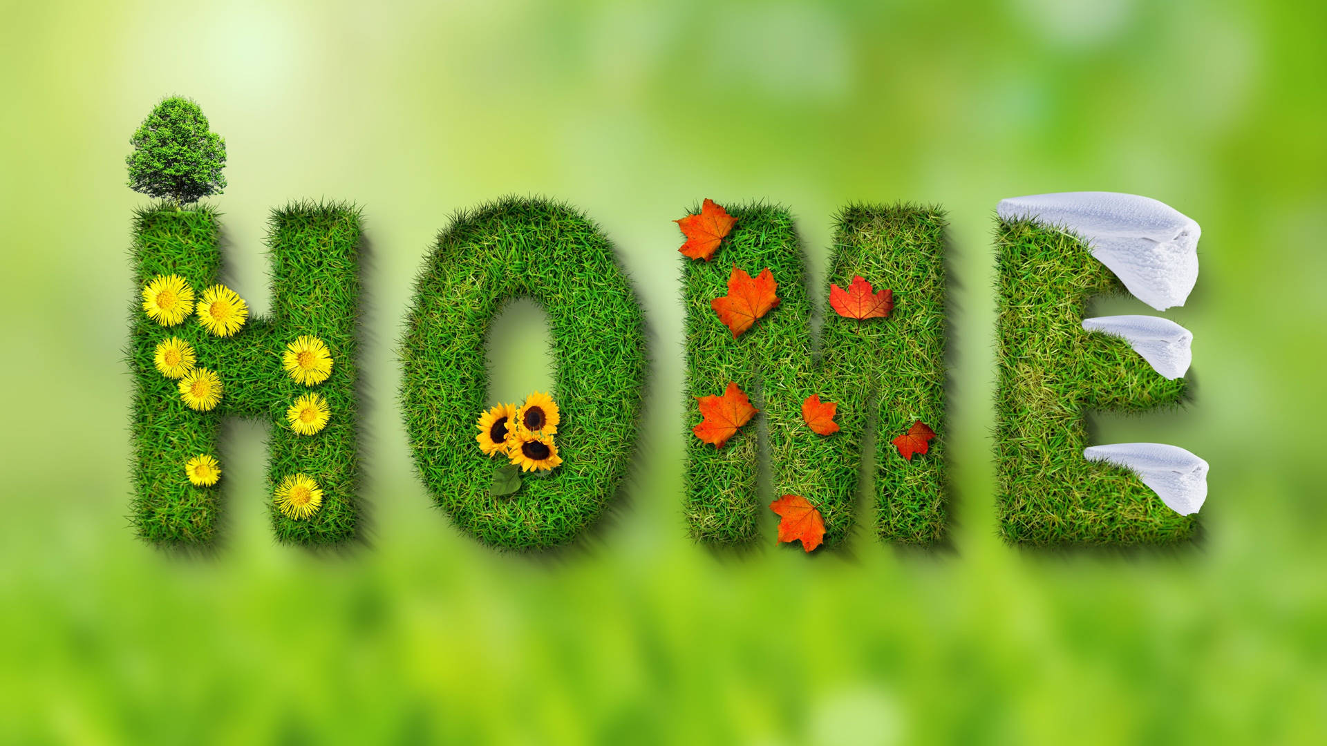Grass Home Sweet Home Text Background