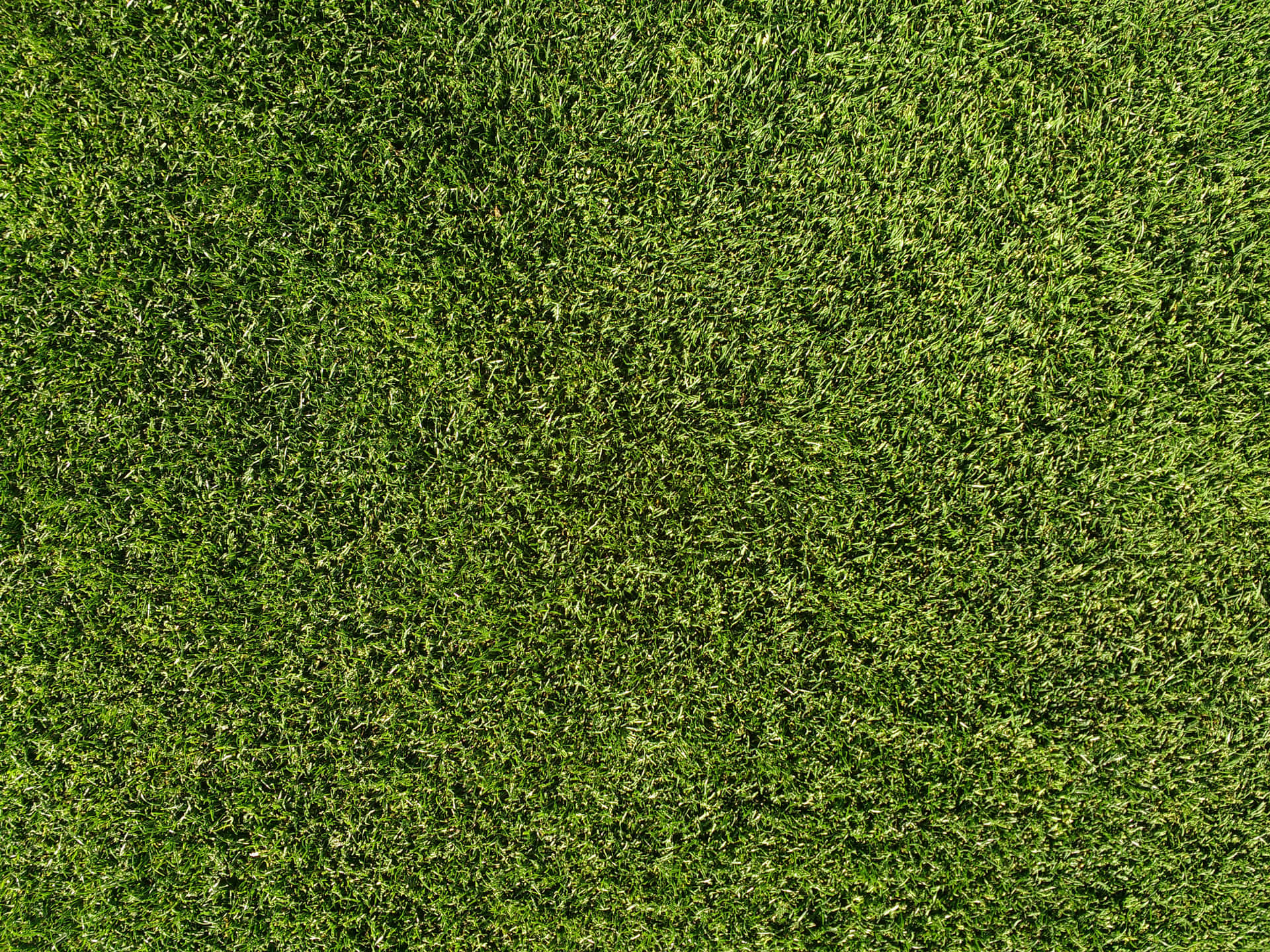 Grass Textures For Photoshop Background