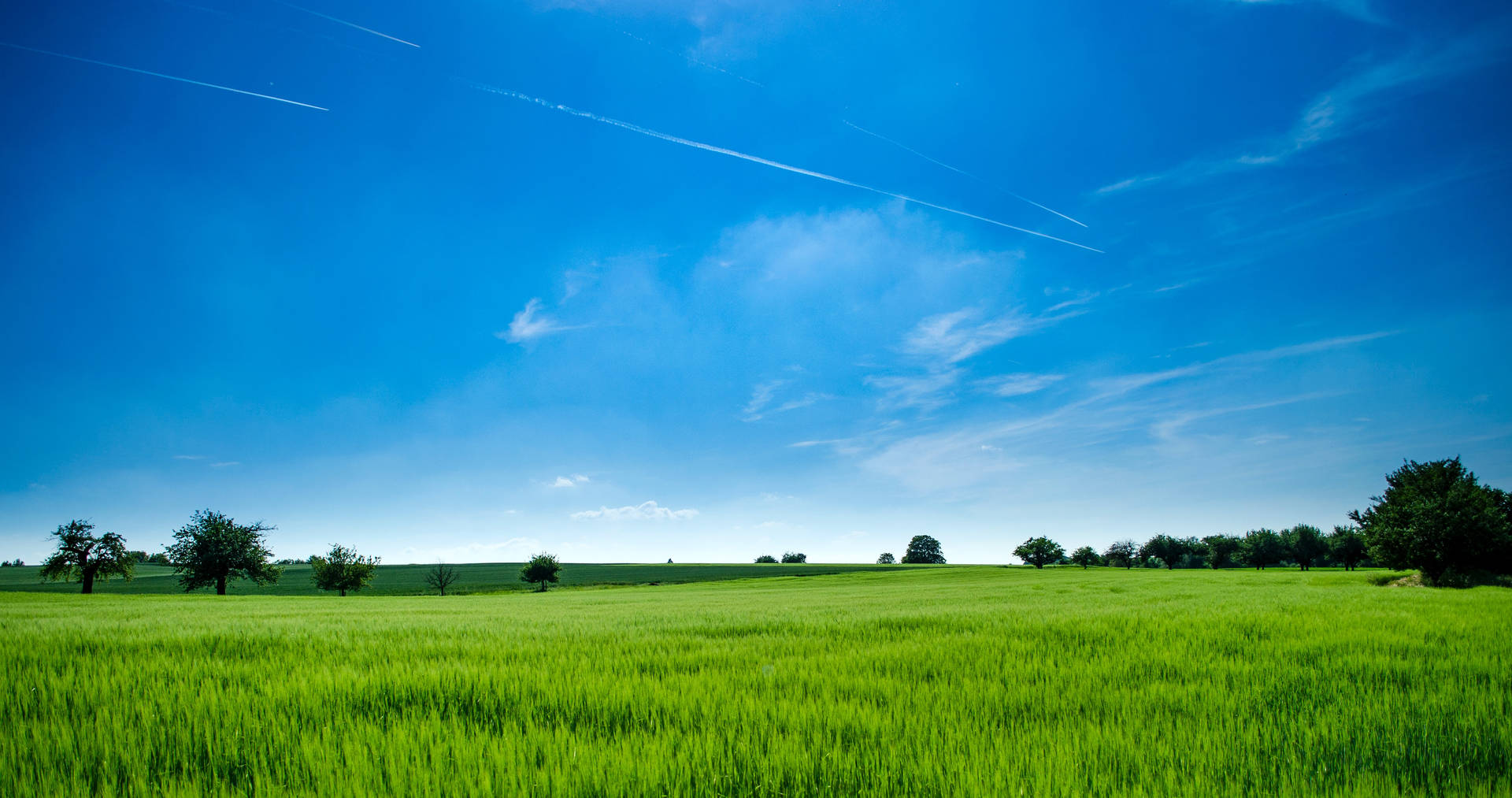 Grass Yard Agriculture Background