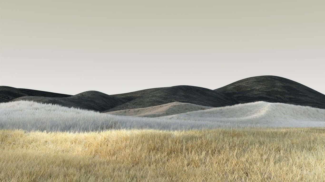 Grassfield Laptop 1366 X 768 Background