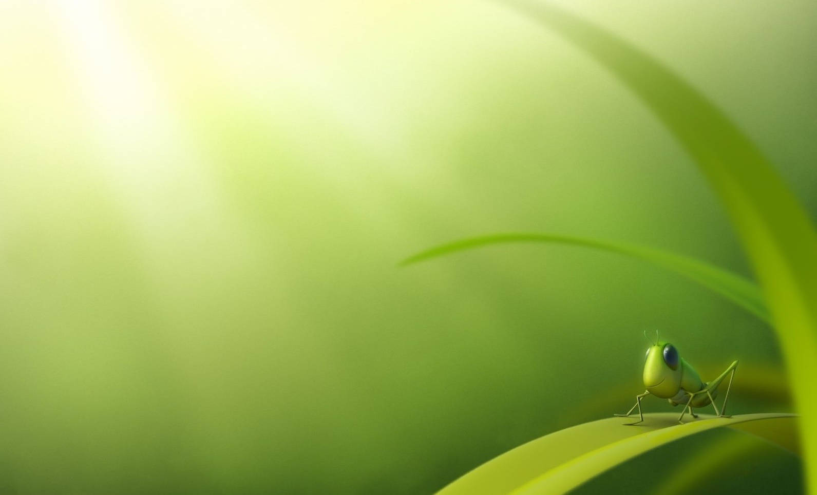 Grasshopper Cute Art Background