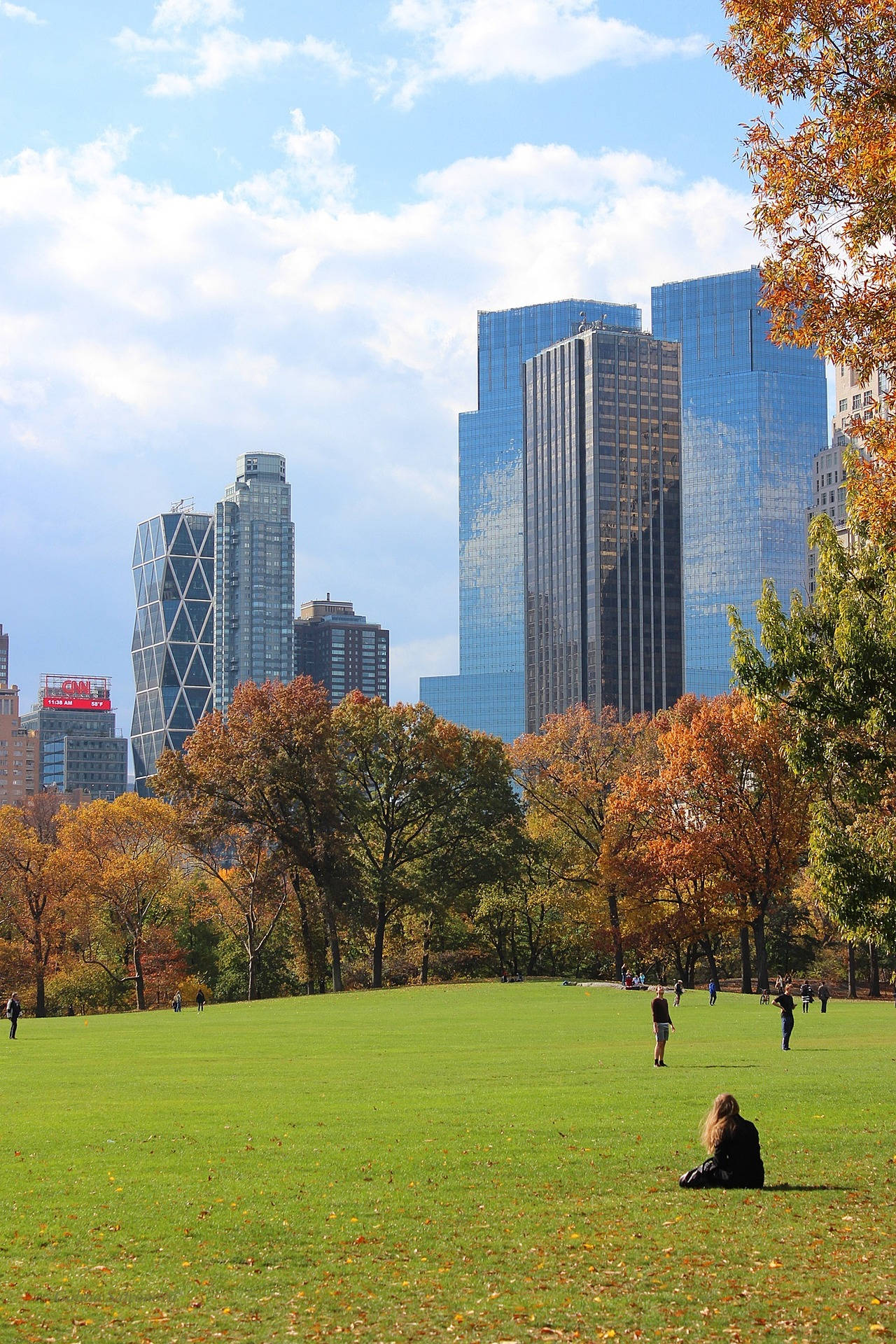 Grassy Central Park Field Background