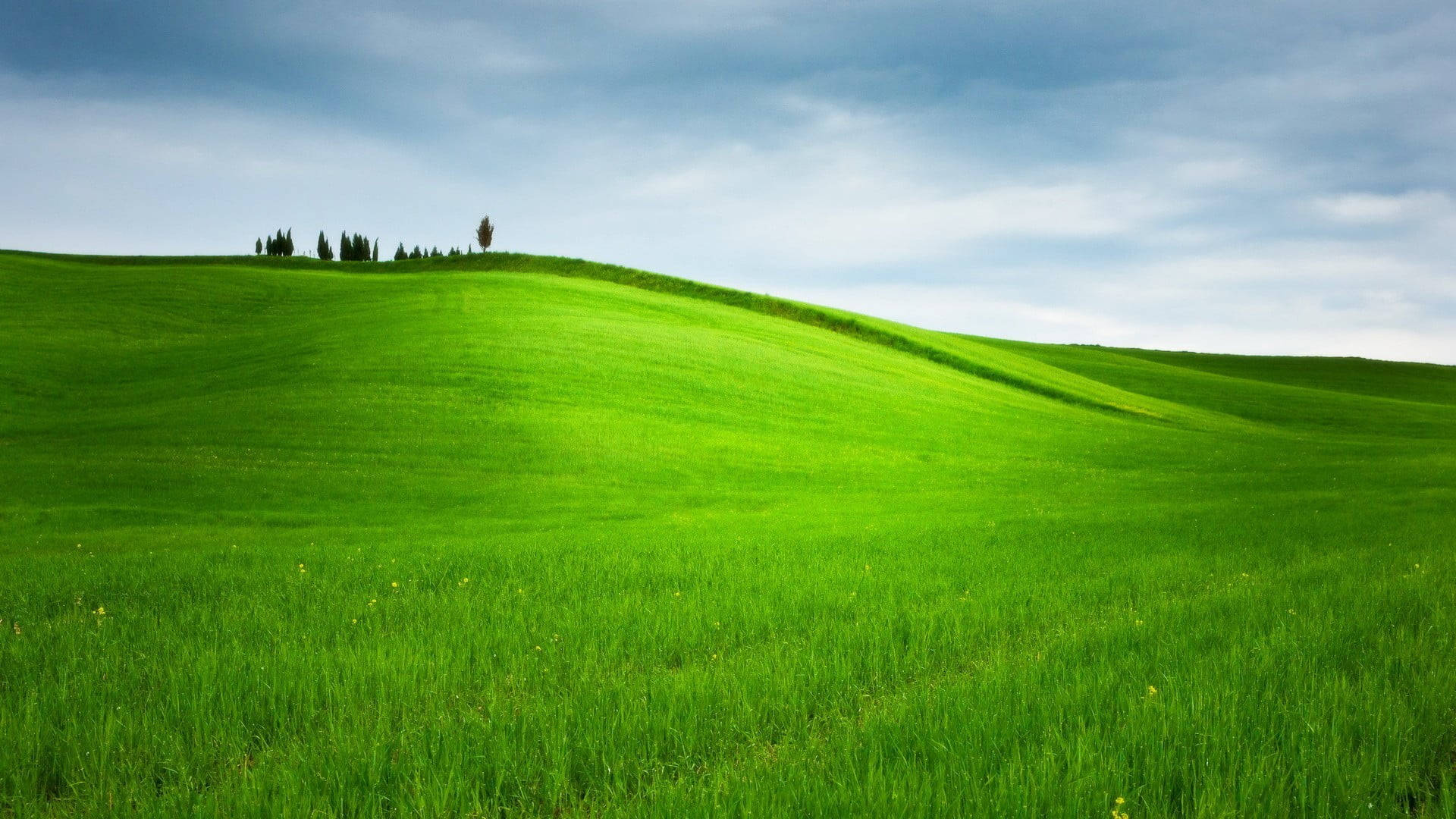 Grassy Green Hill Background