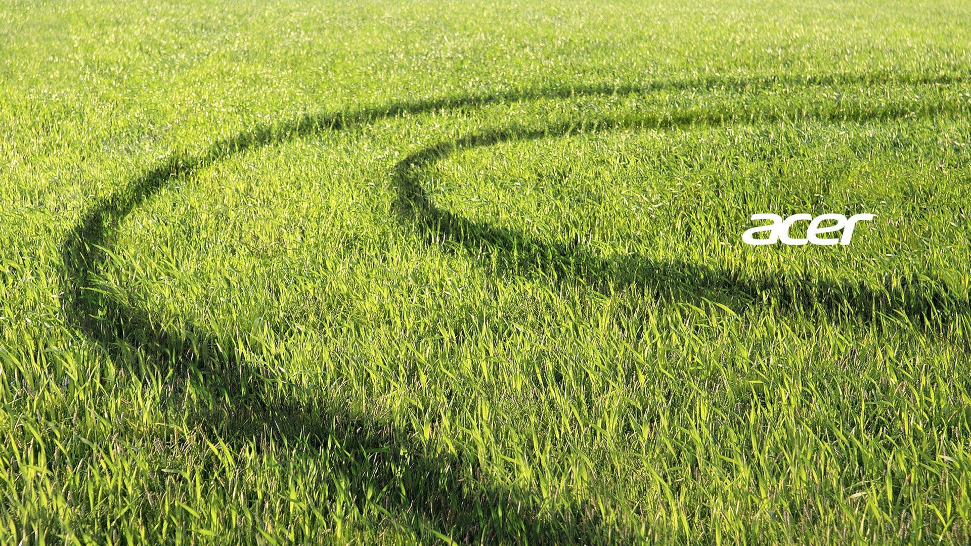 Grassy Plain Acer Logo Background