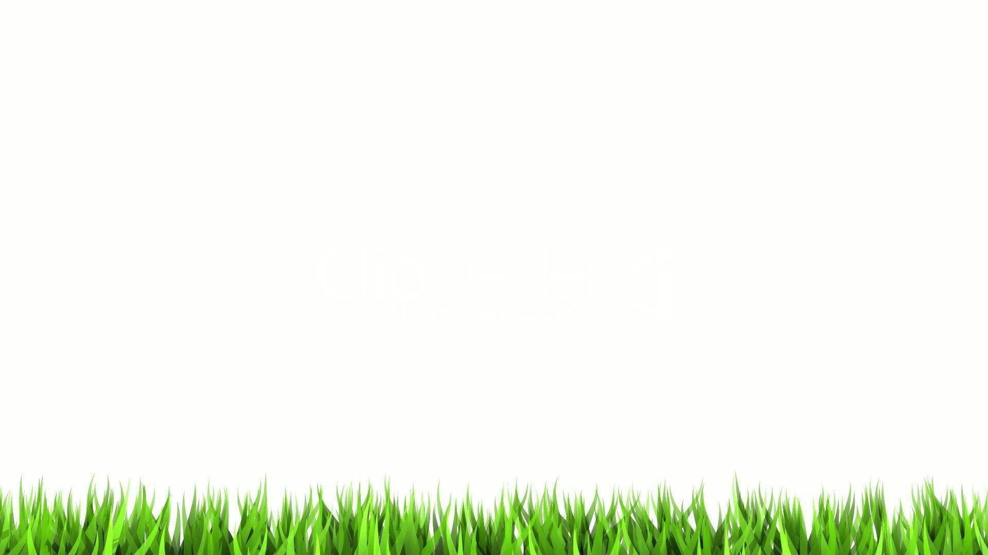 Grassy White Color Background