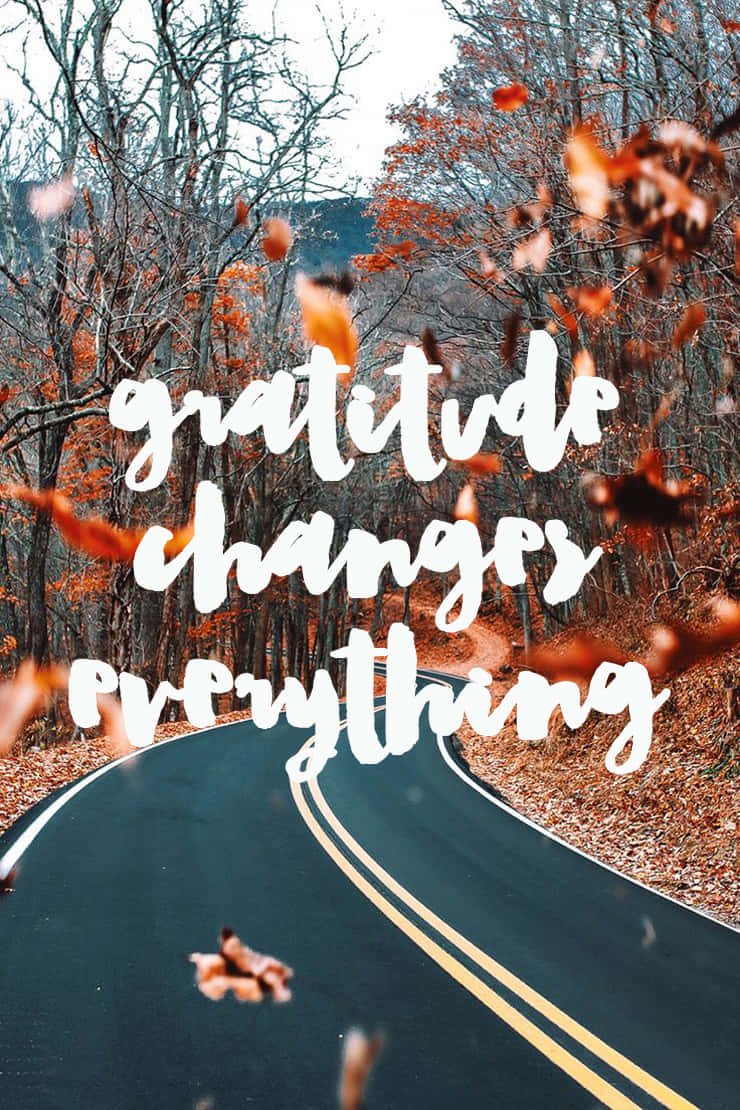 Gratitude Changes Everything