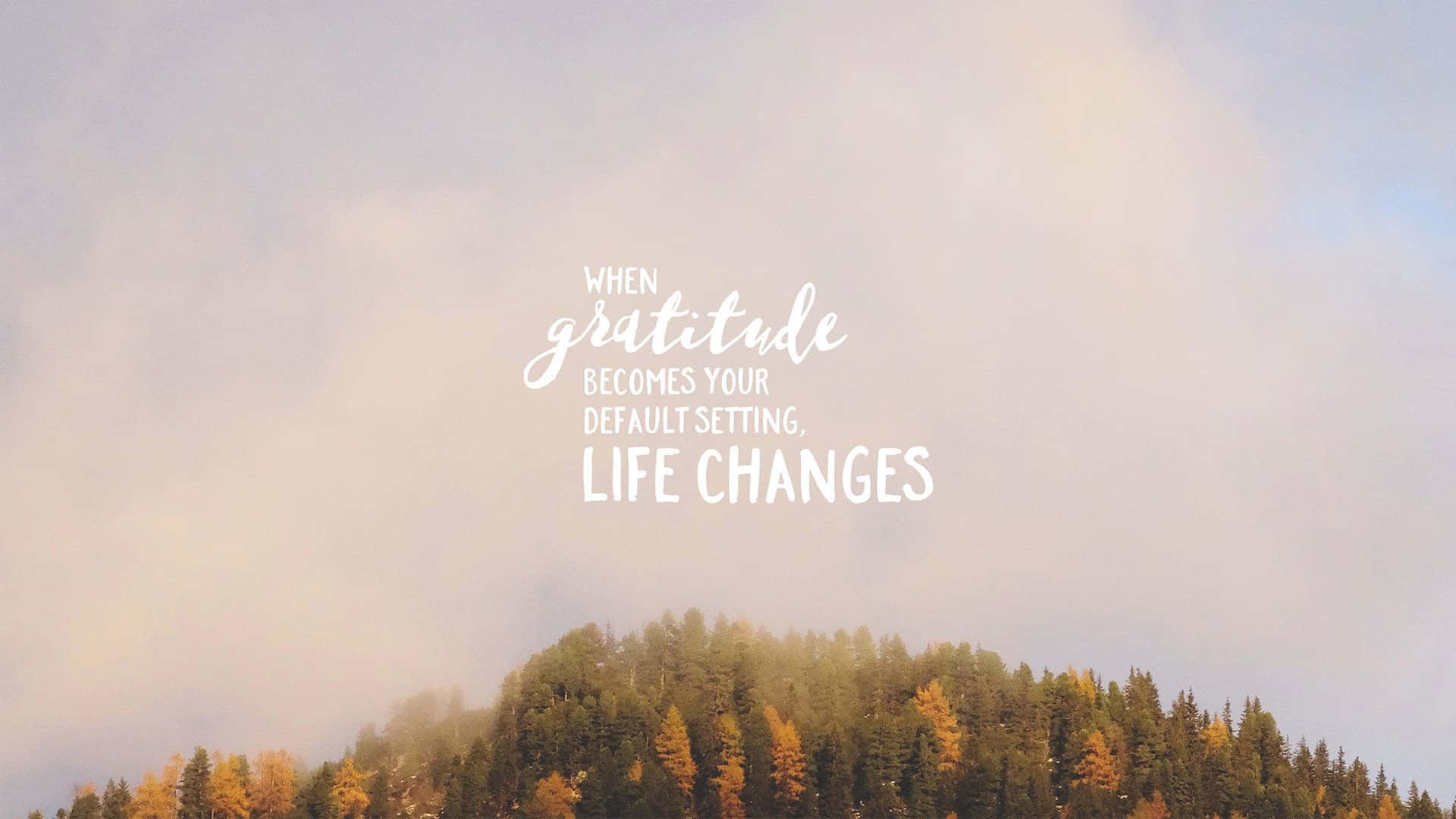 Gratitude Changes Life