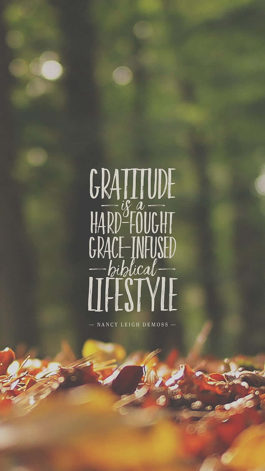 Gratitude Lifestyle Forest