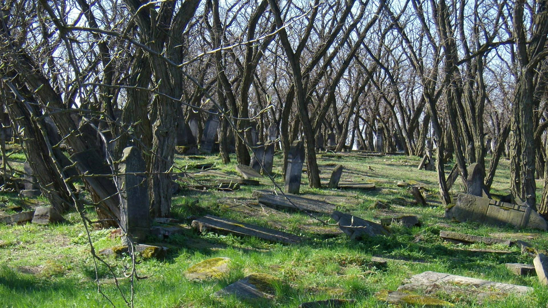 Graveyard Among Trees