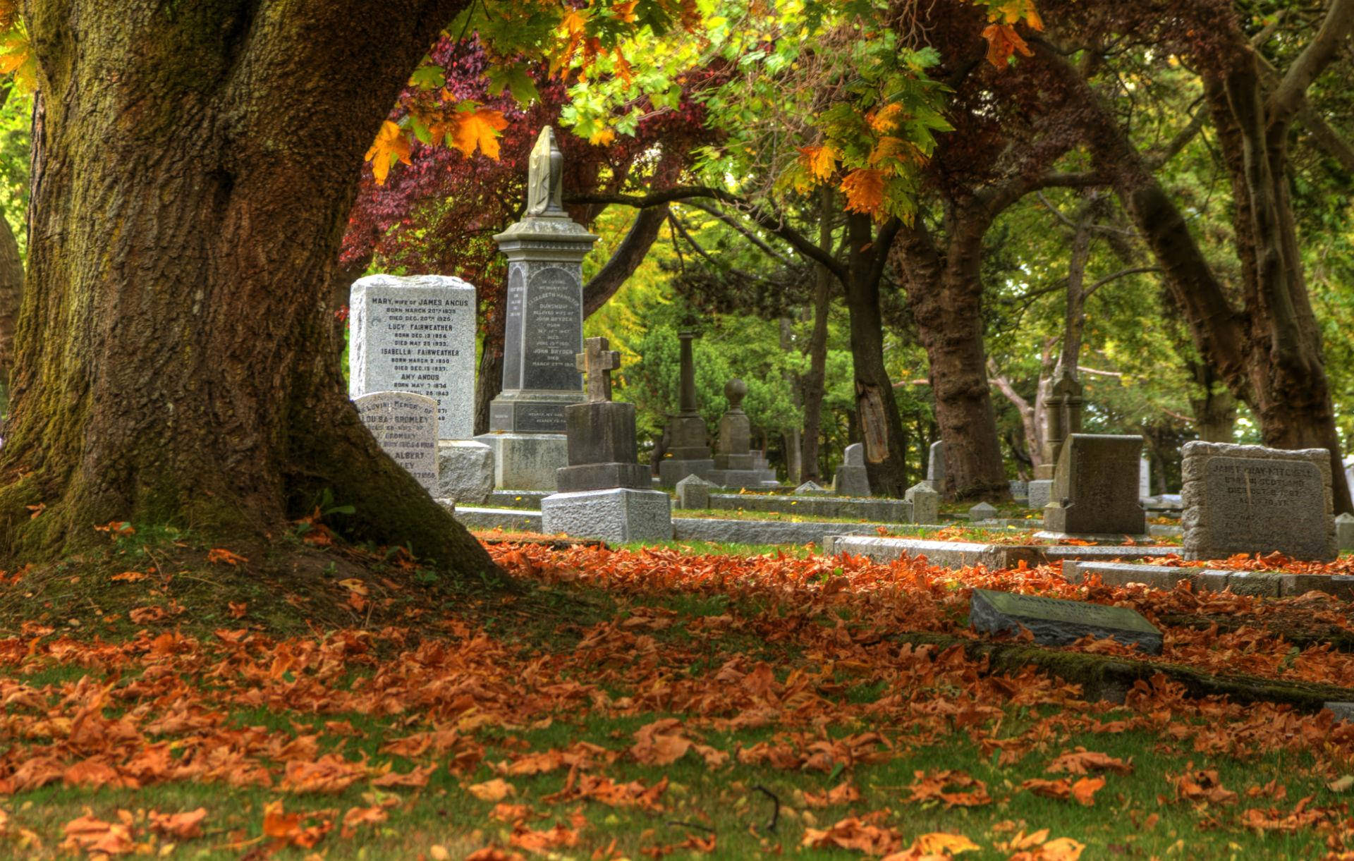 Graveyard And Autumn Leaves Background