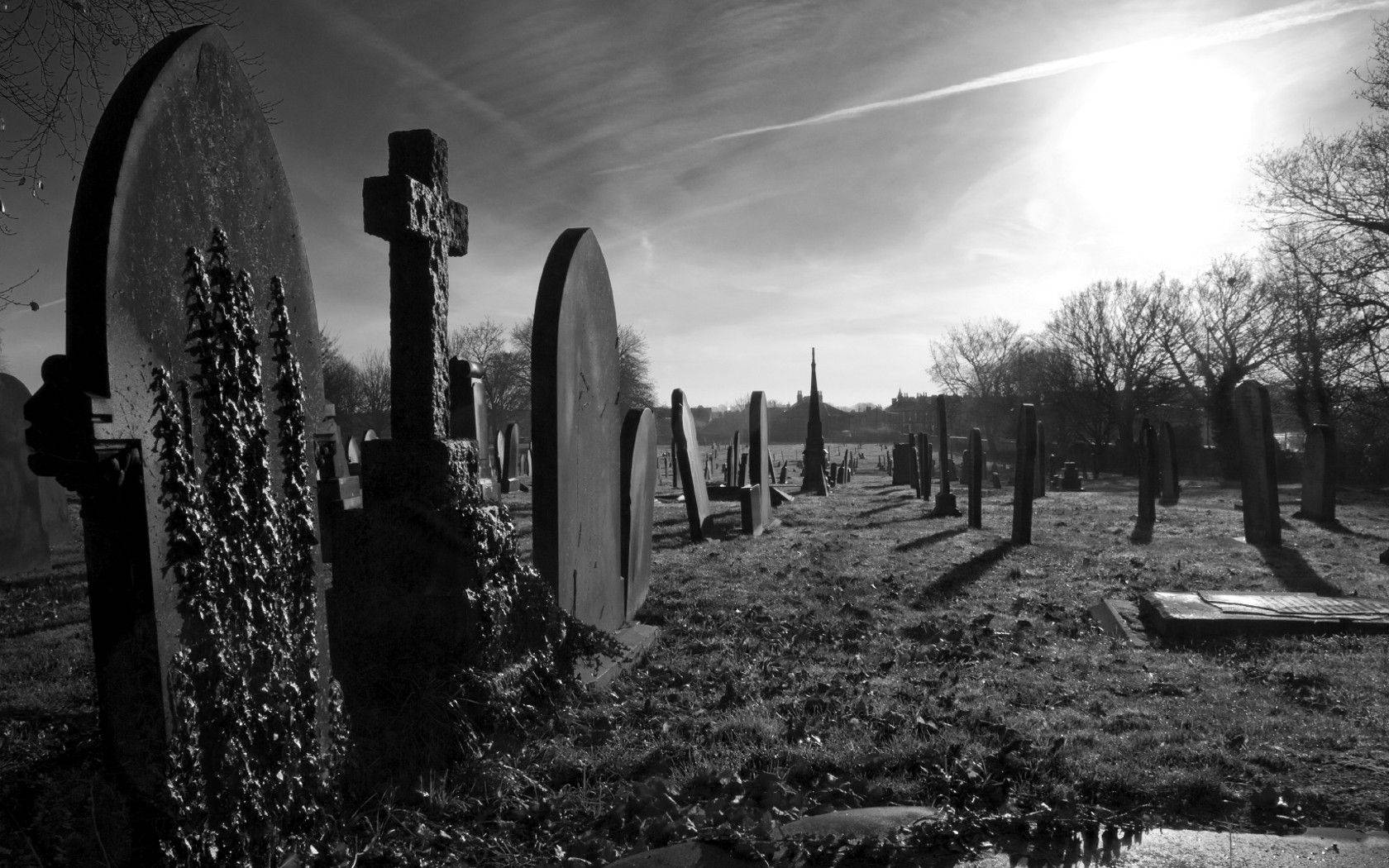 Graveyard In Black And White Background