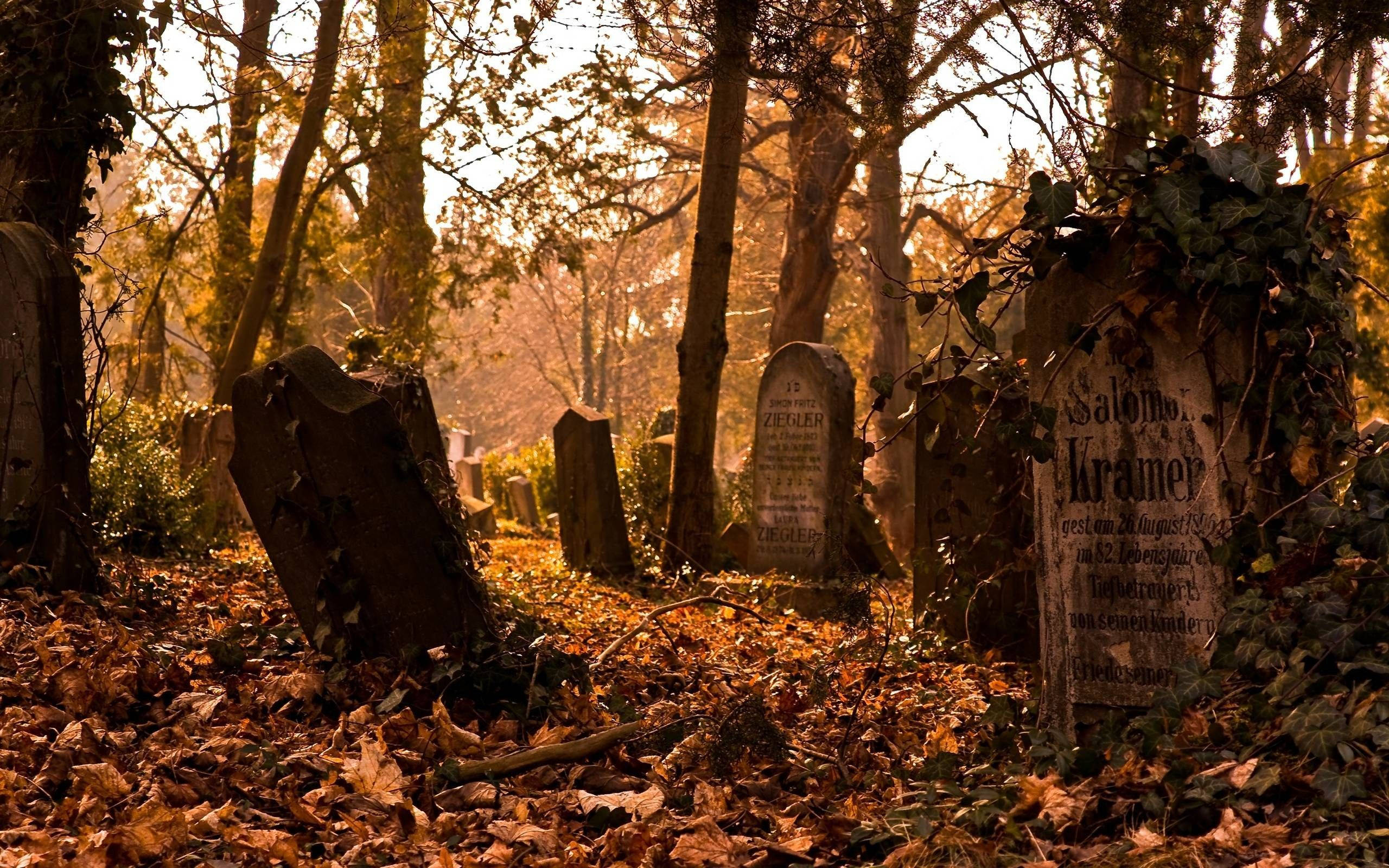 Graveyard In Fall Background