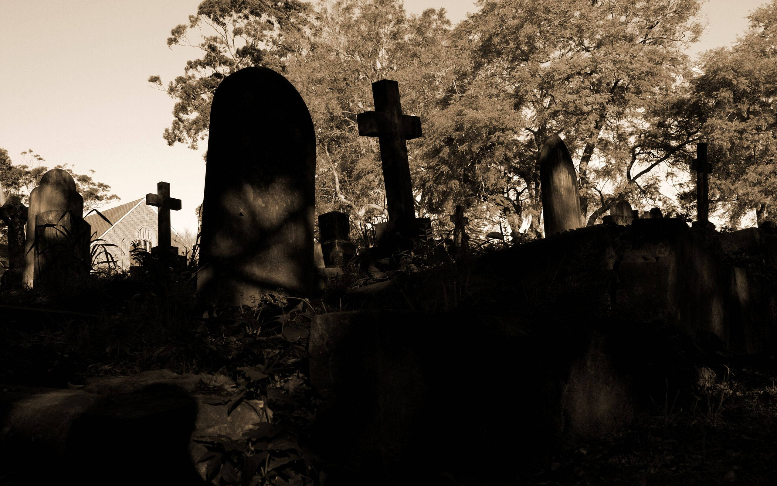 Graveyard In Sepia Background