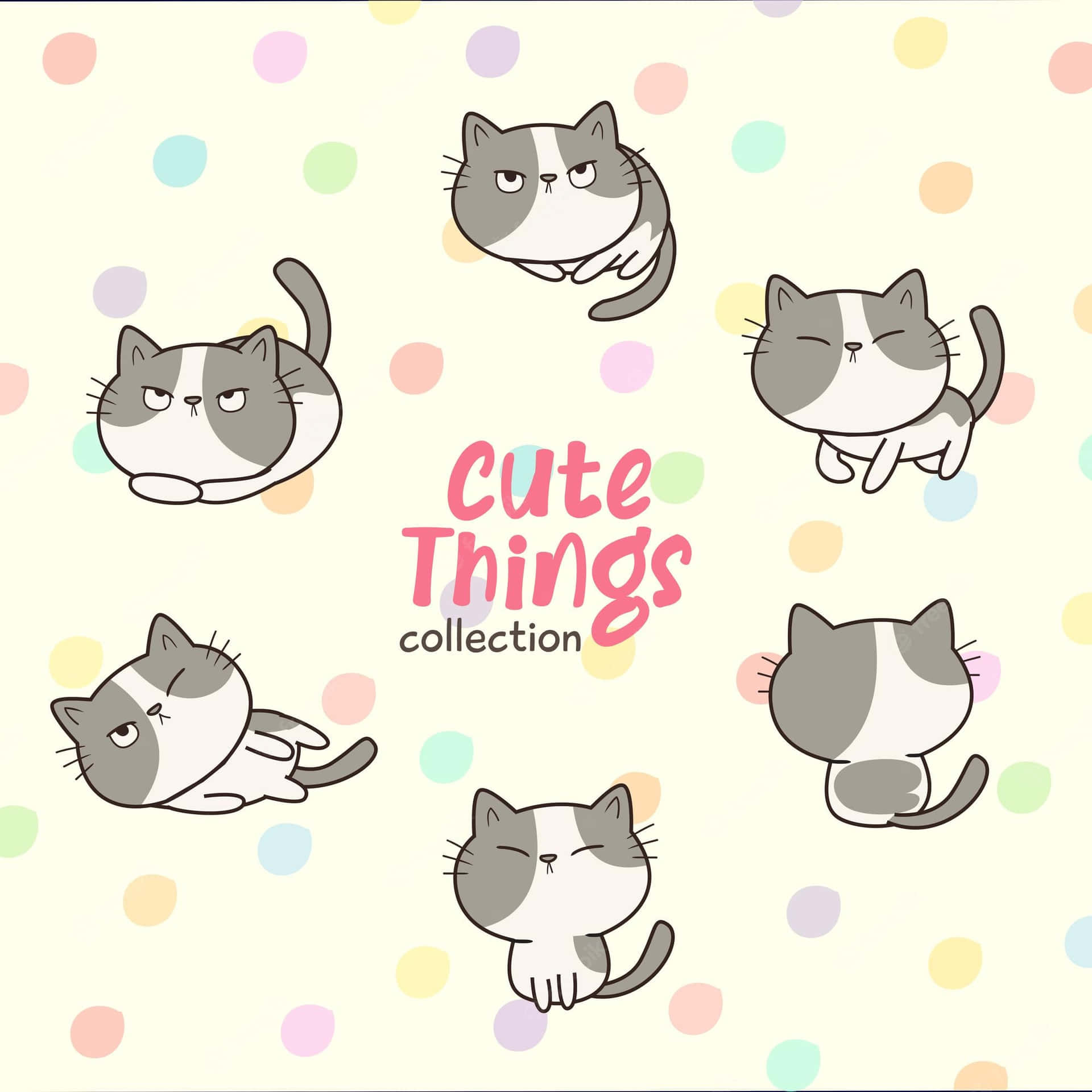 Gray And White Cat Cute Things Background