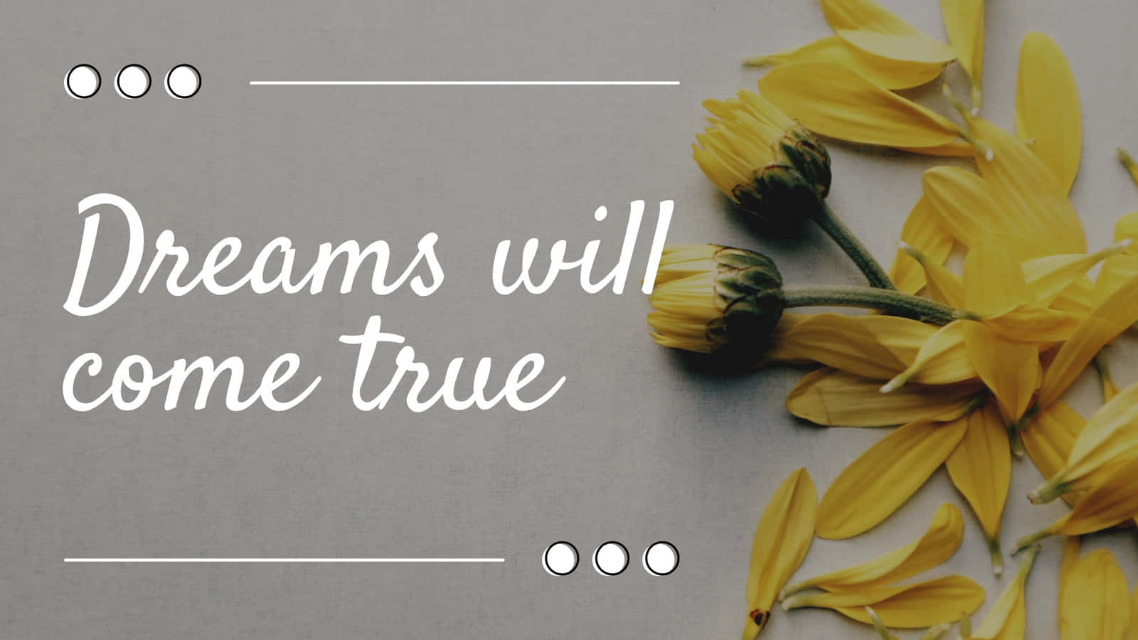 Gray And Yellow Quote Sunflowers Background