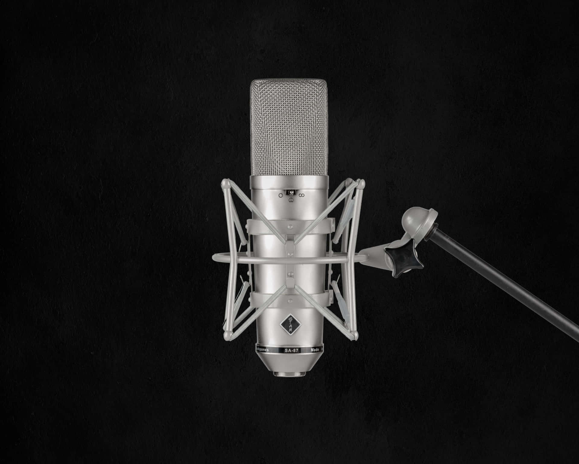 Gray Condenser Microphone