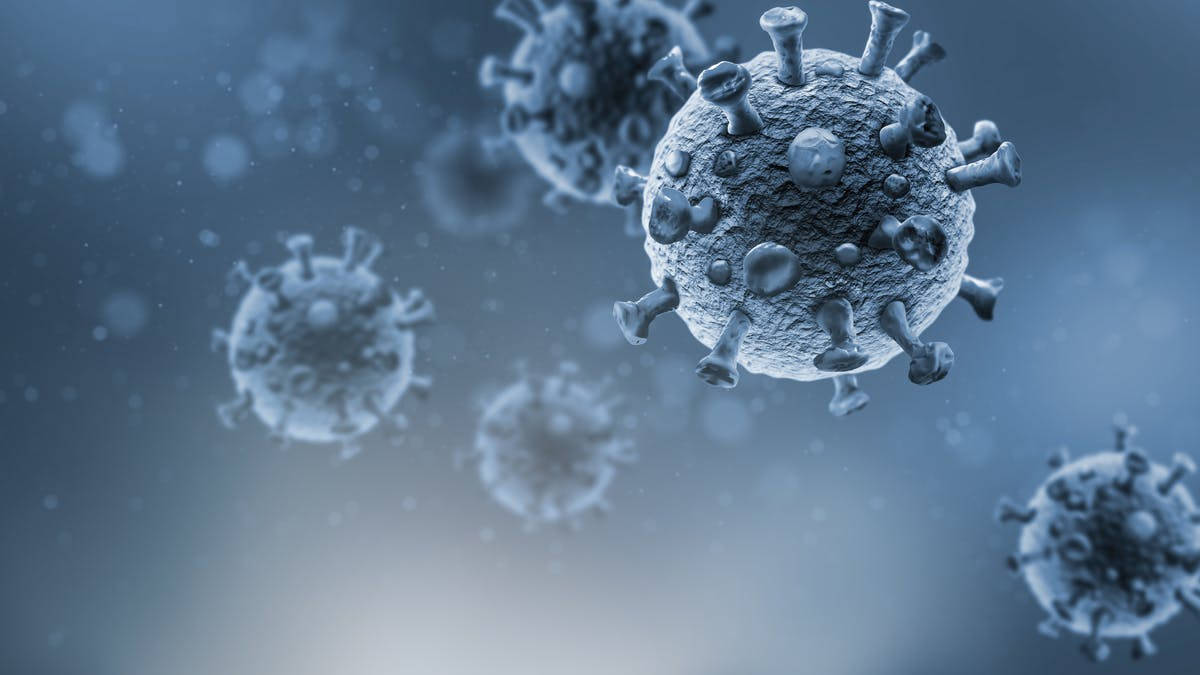 Gray Coronavirus Model Background