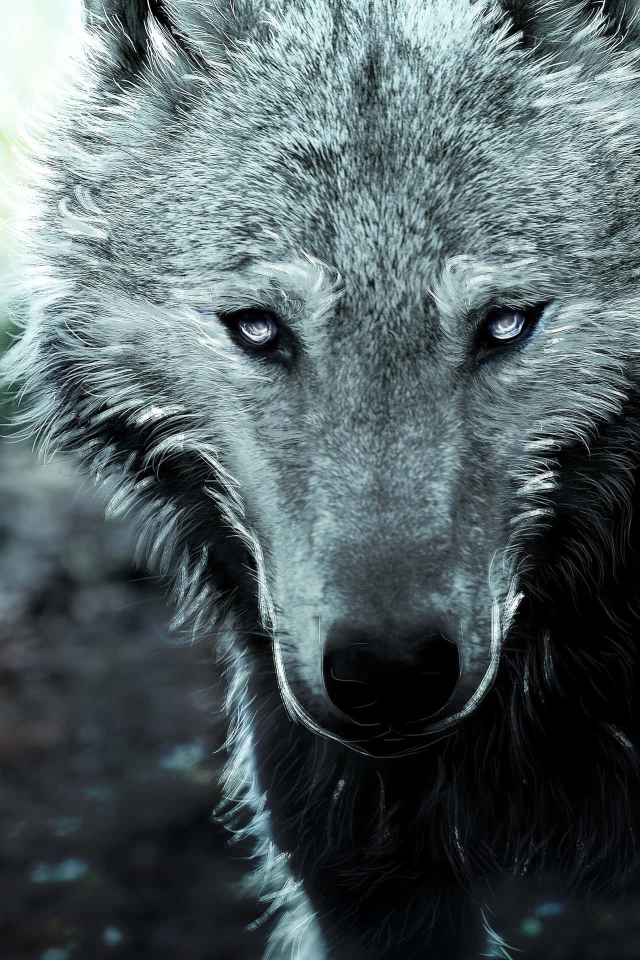 Gray Epic Wolves Background