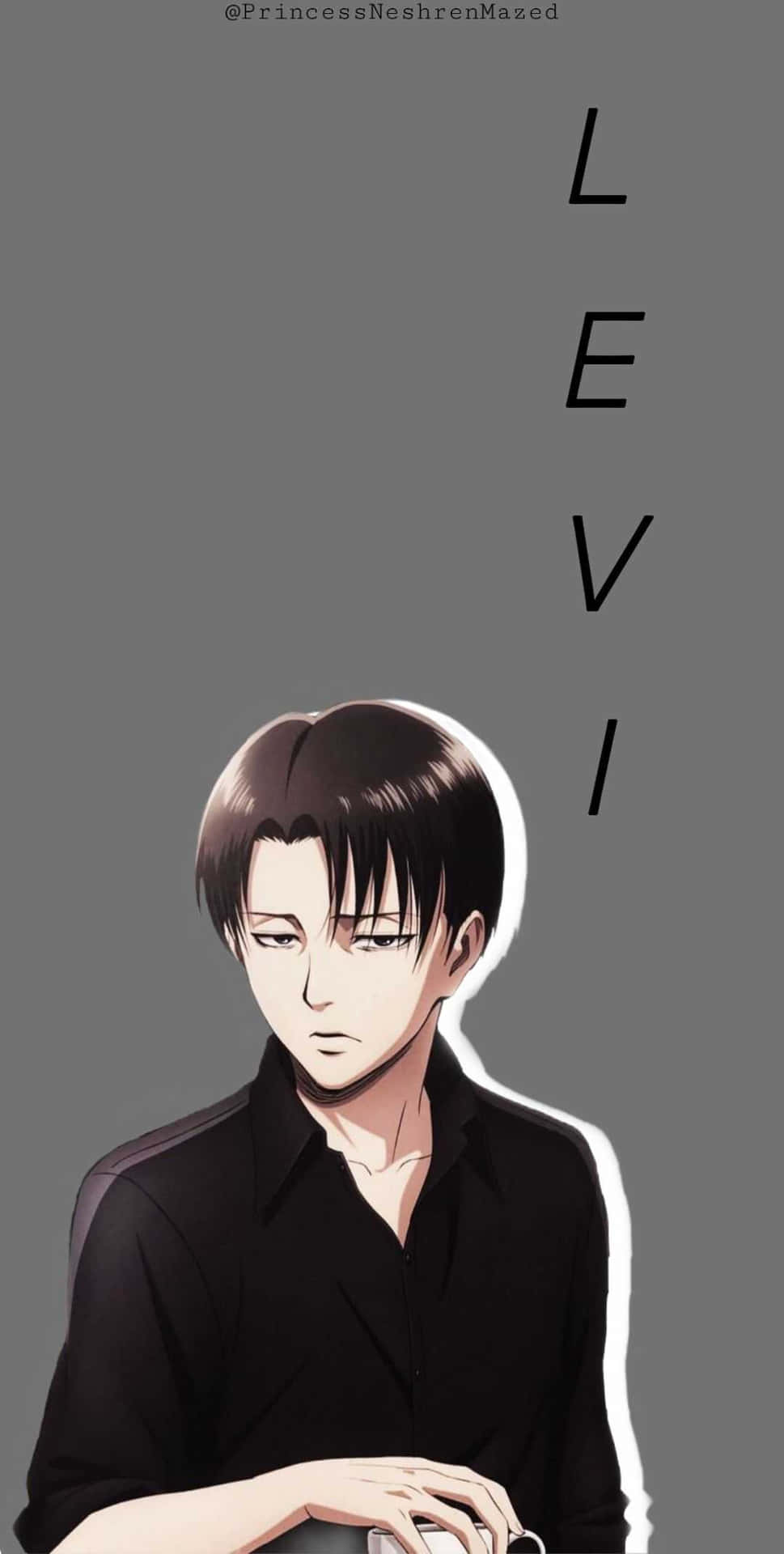 Gray Levi Pfp Background