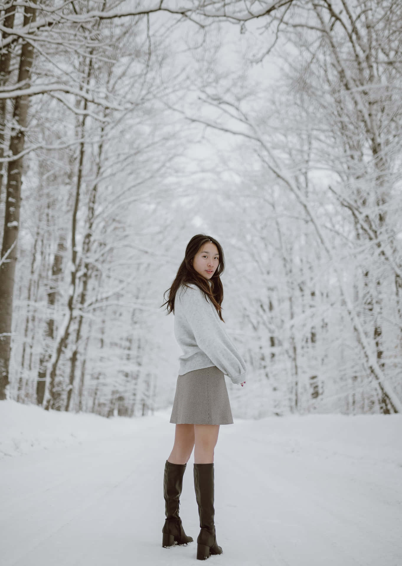 Gray Miniskirt In Winter Background