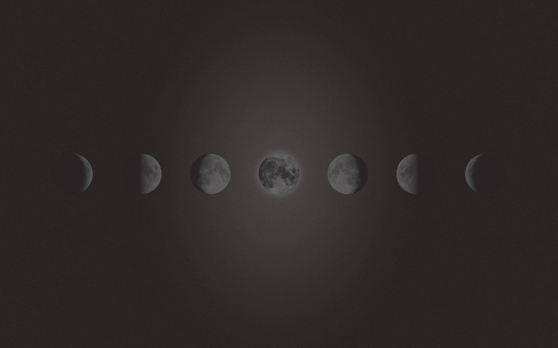 Gray Moon Phases Graphic